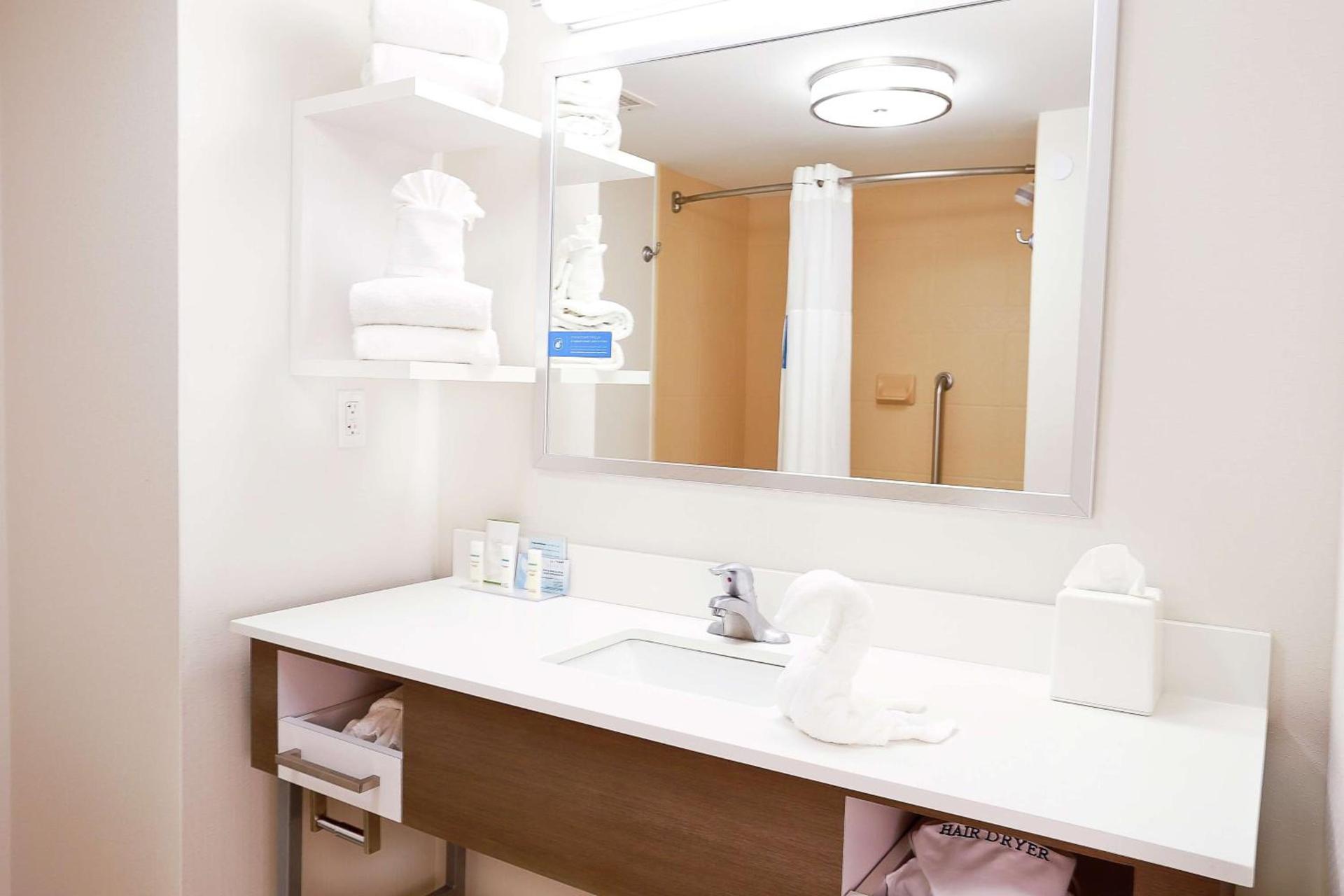 Hampton Inn & Suites Tampa-Wesley Chapel photo 29