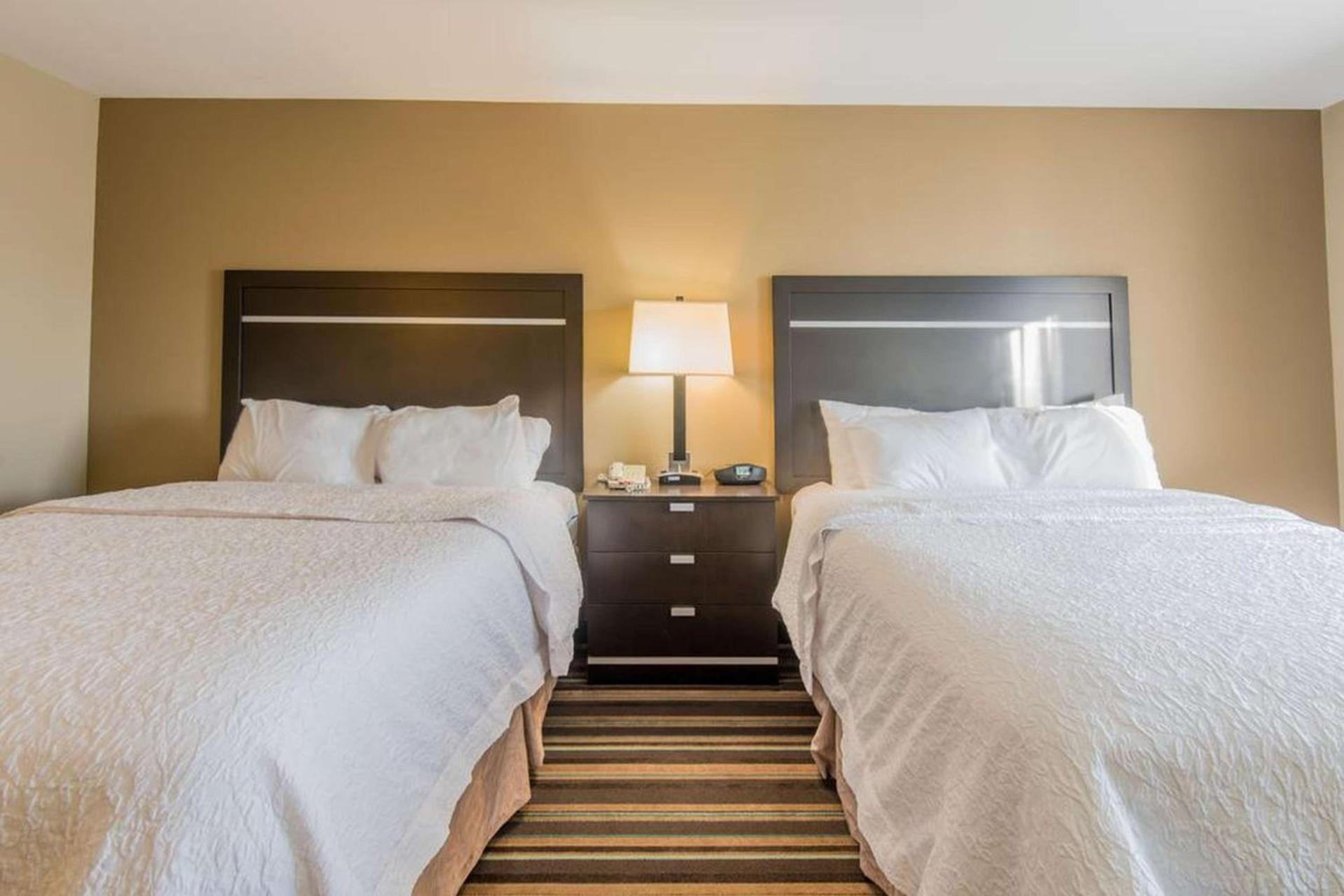 Hampton Inn New Albany photo 39