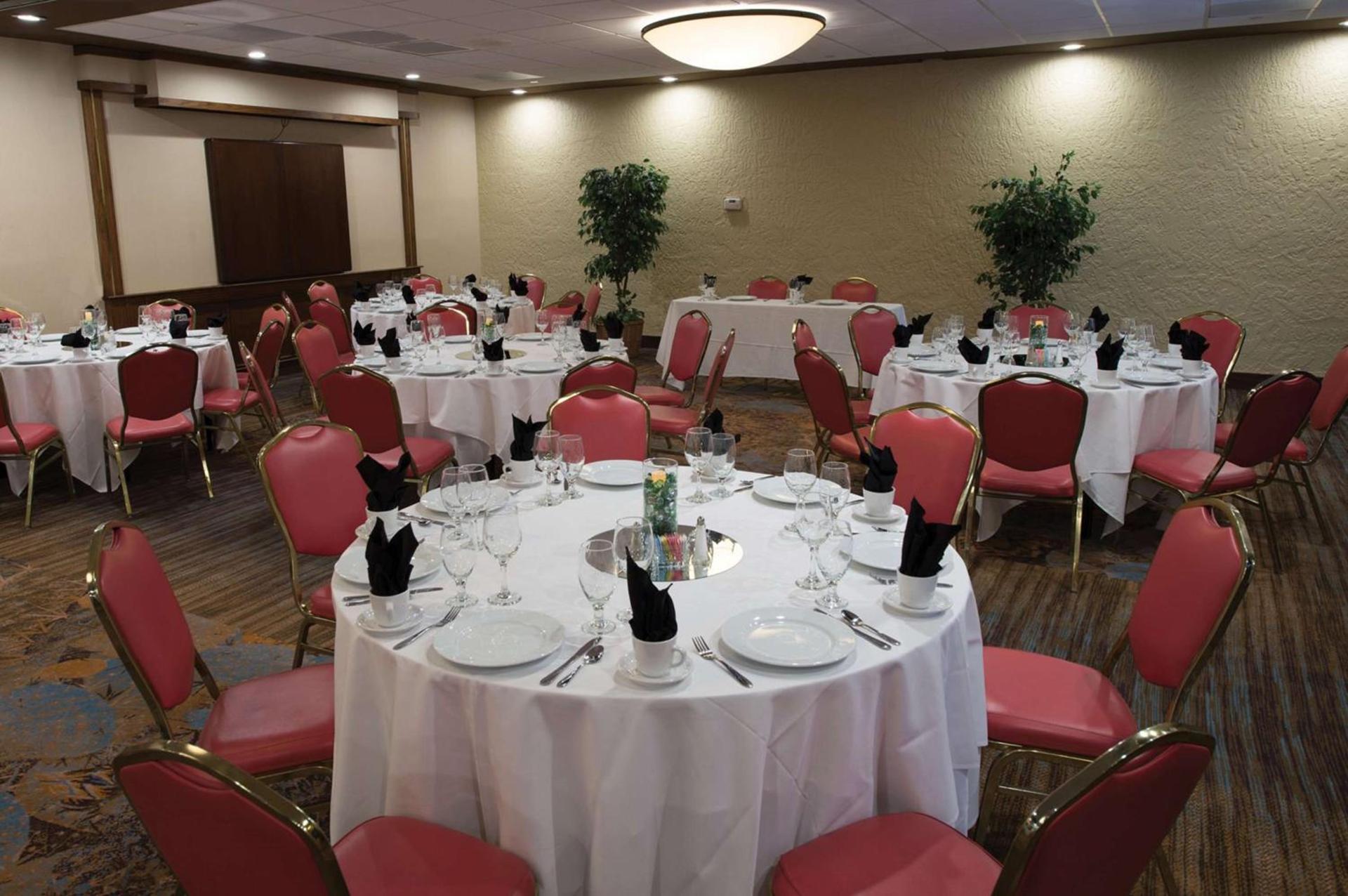 DoubleTree Suites by Hilton Tucson-Williams Center photo 17