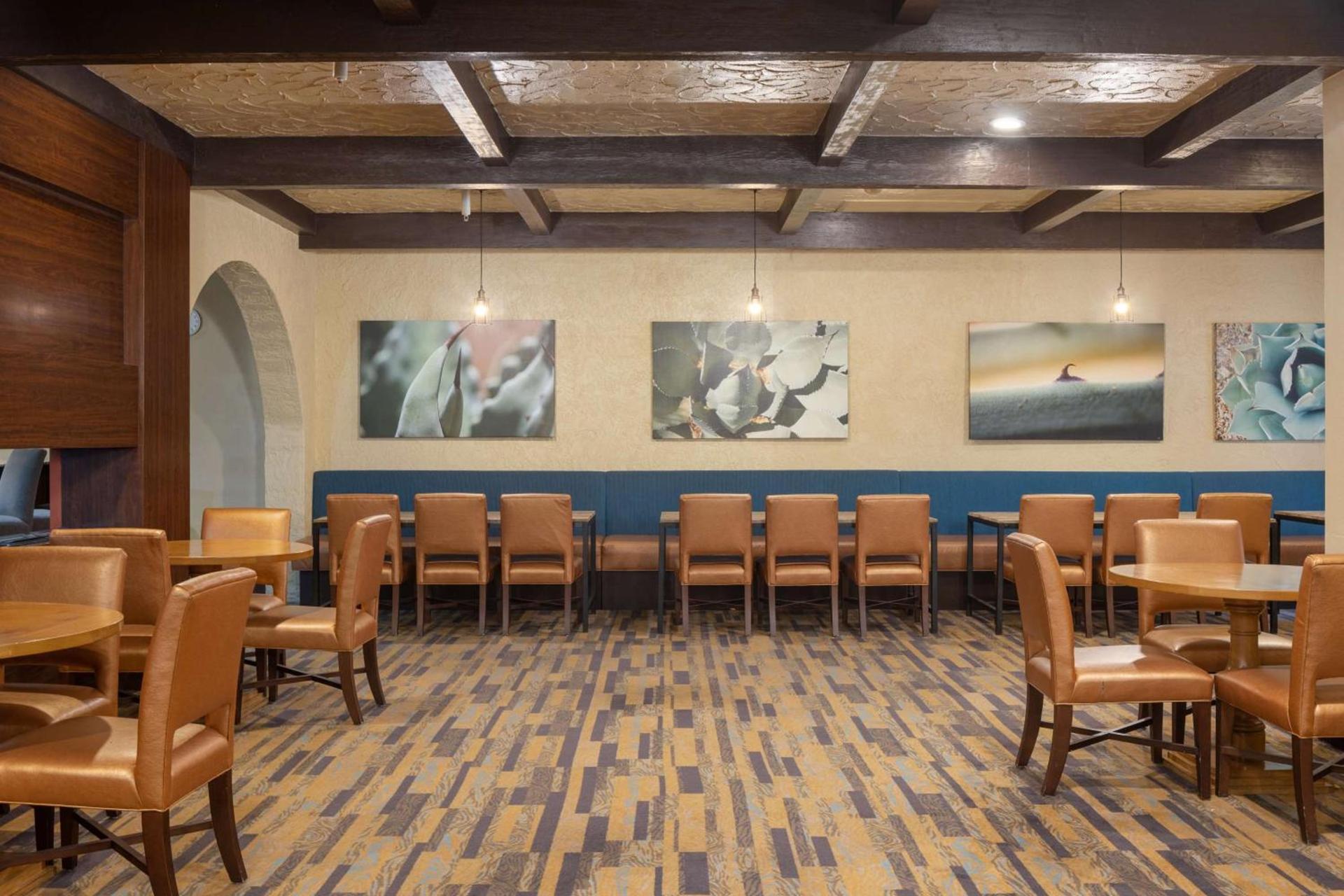 DoubleTree Suites by Hilton Tucson-Williams Center photo 21