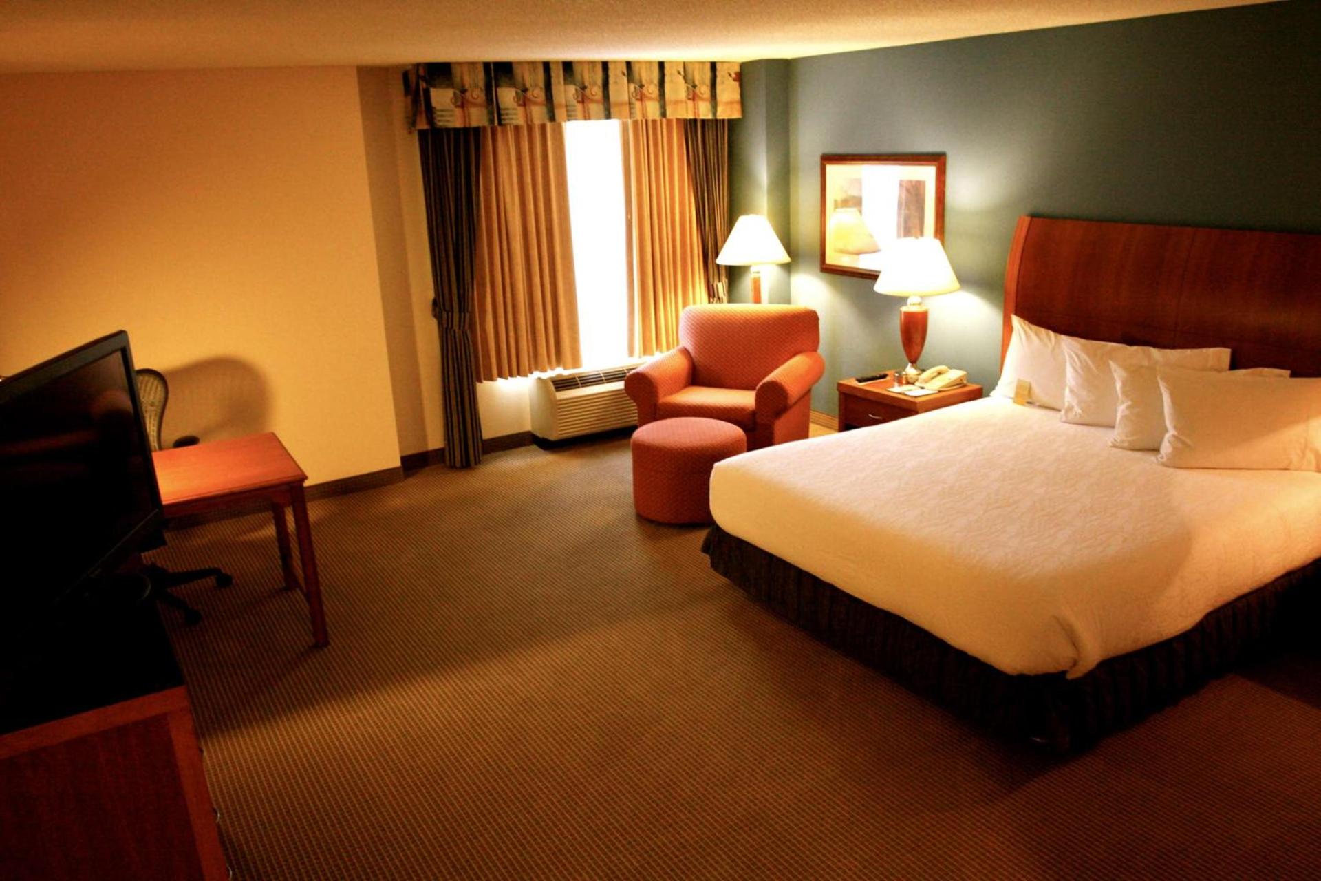 Hilton Garden Inn Albany photo 16