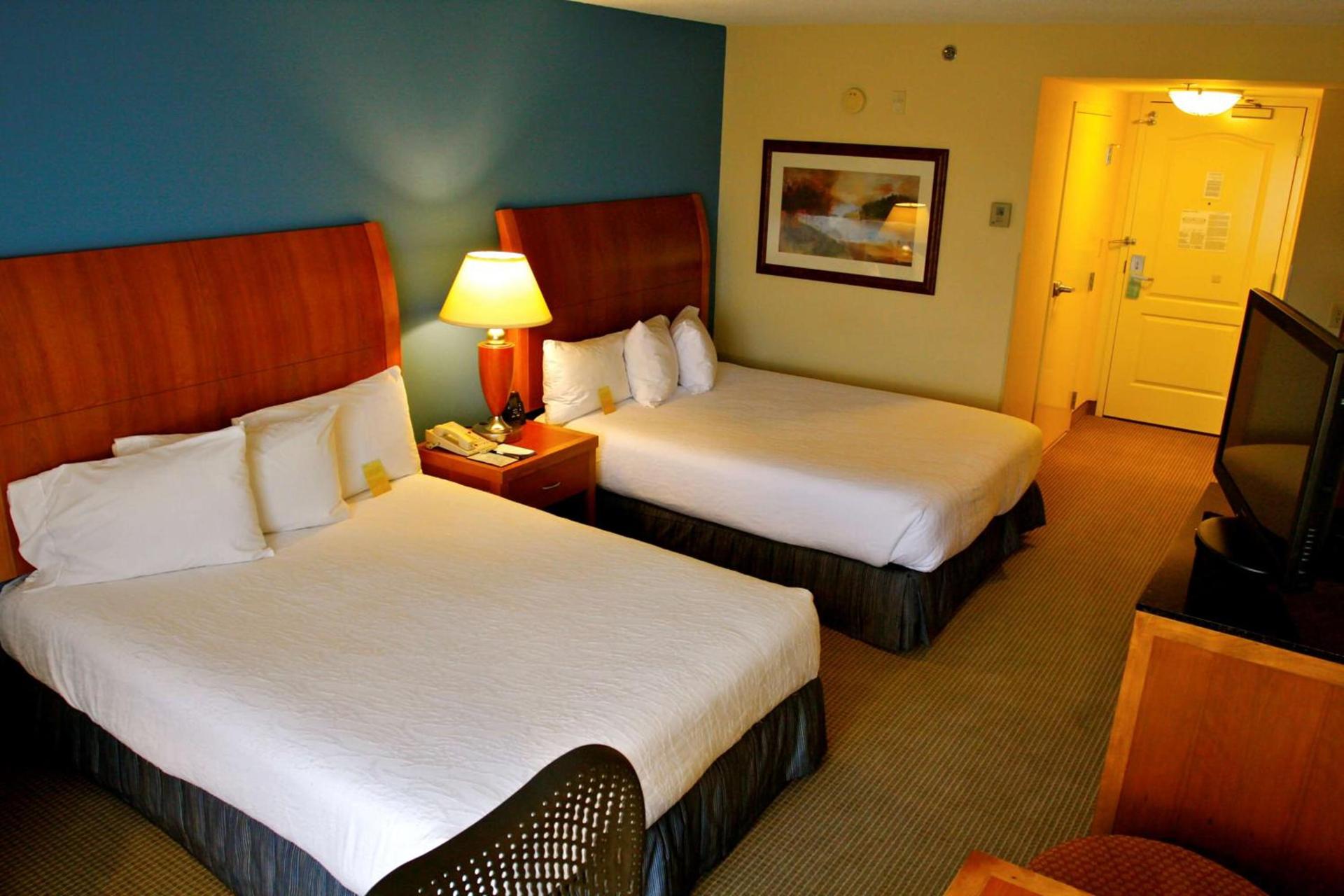 Hilton Garden Inn Albany photo 18
