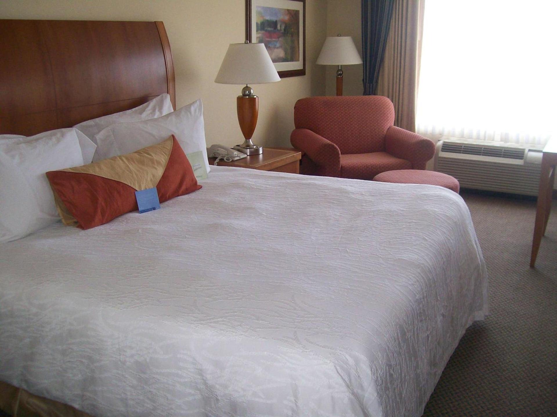 Hilton Garden Inn Albany photo 20