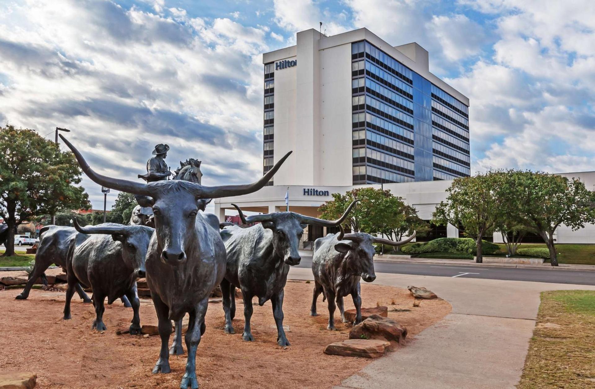 Hilton Waco photo 14