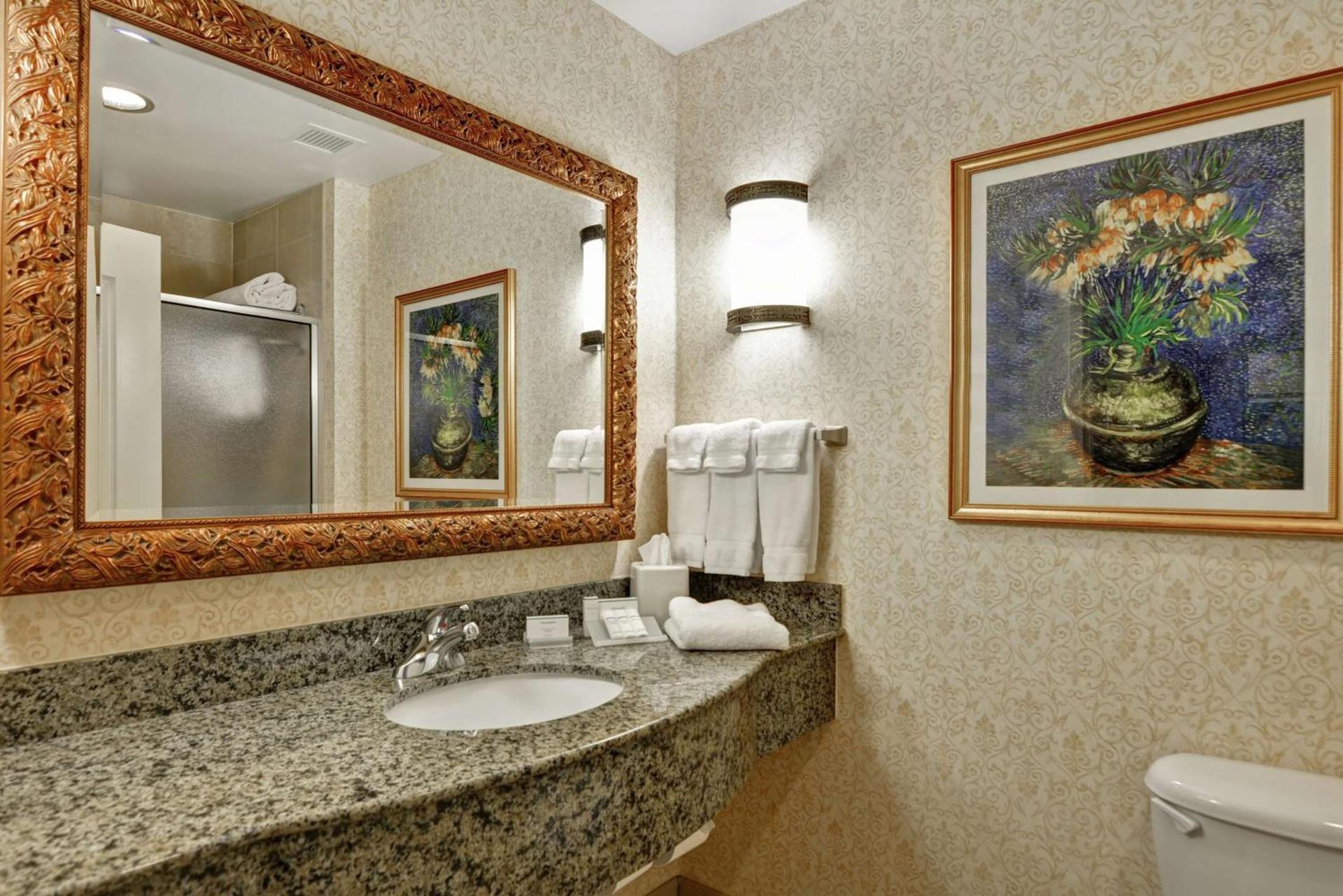 Hilton Garden Inn Amarillo photo 26