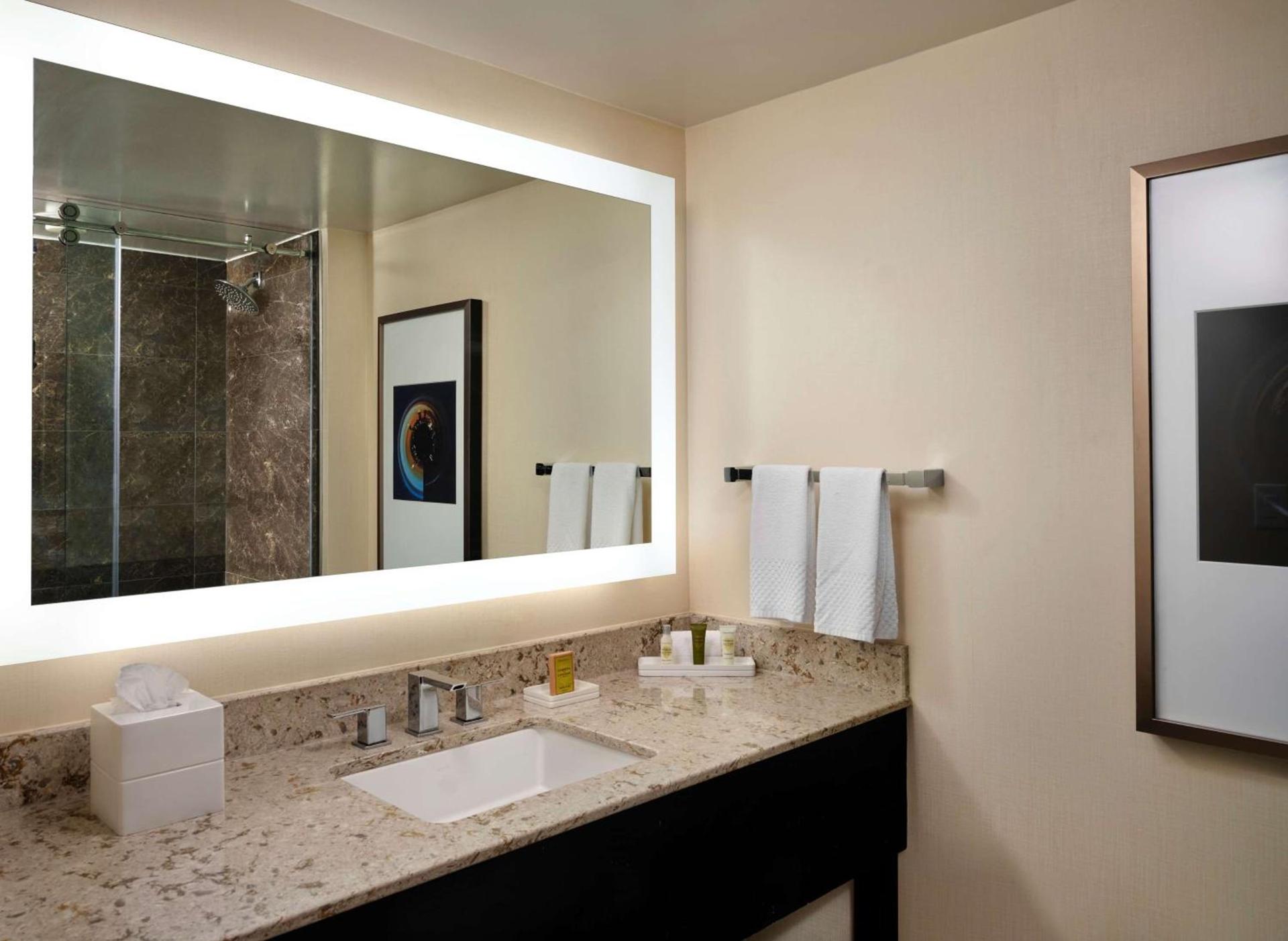 Hilton Atlanta Airport photo 29