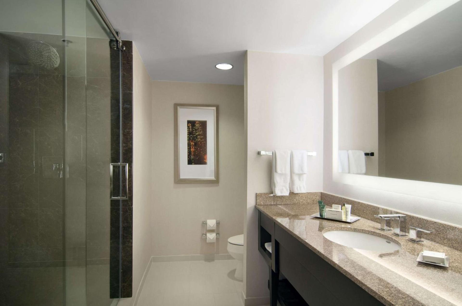 Hilton Atlanta Airport photo 38