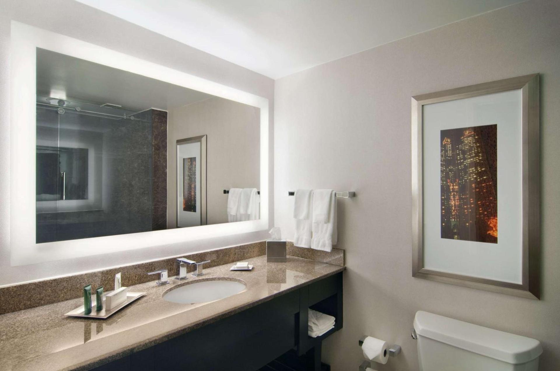 Hilton Atlanta Airport photo 48