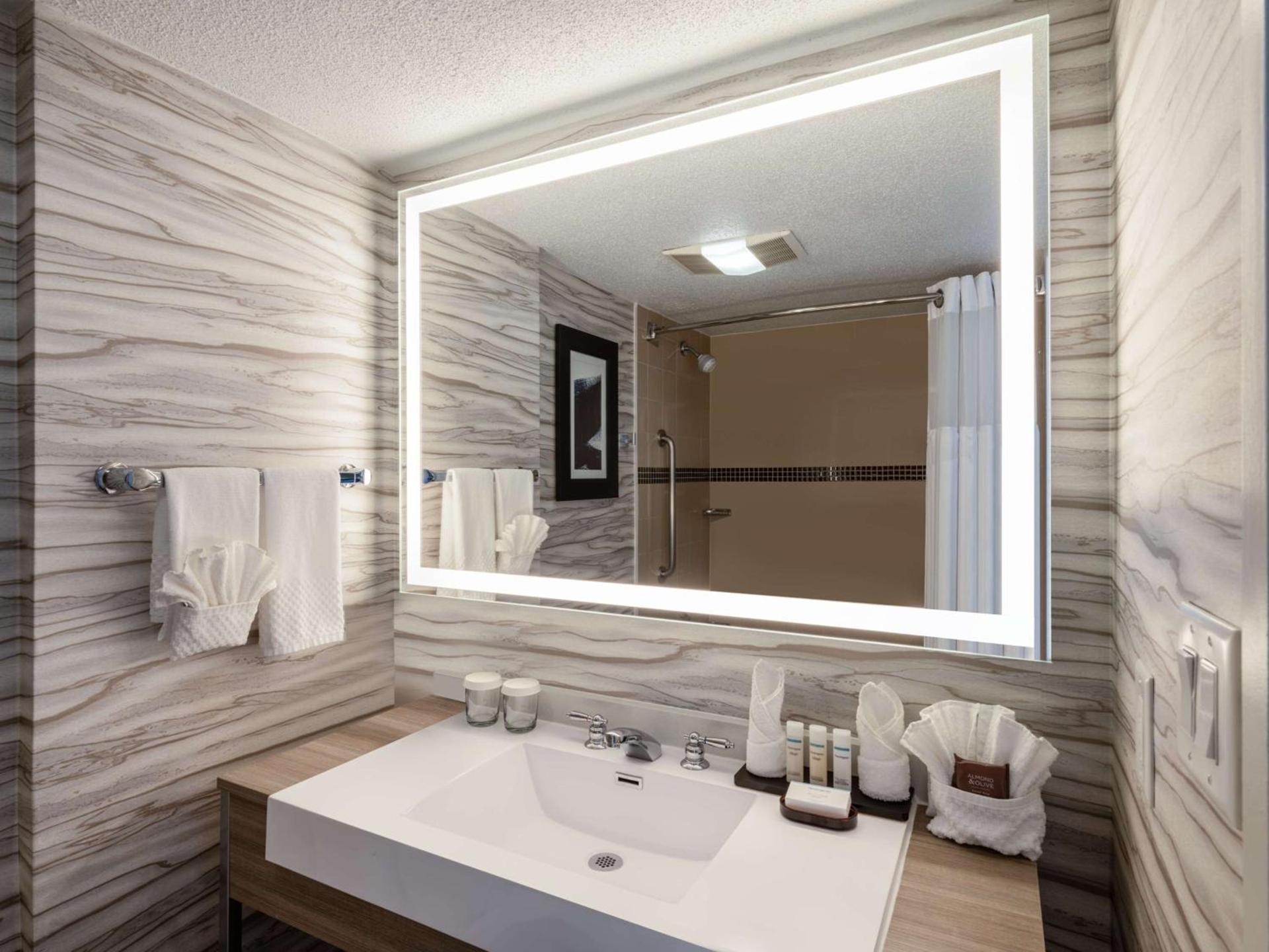Embassy Suites Baltimore - North/Hunt Valley photo 22