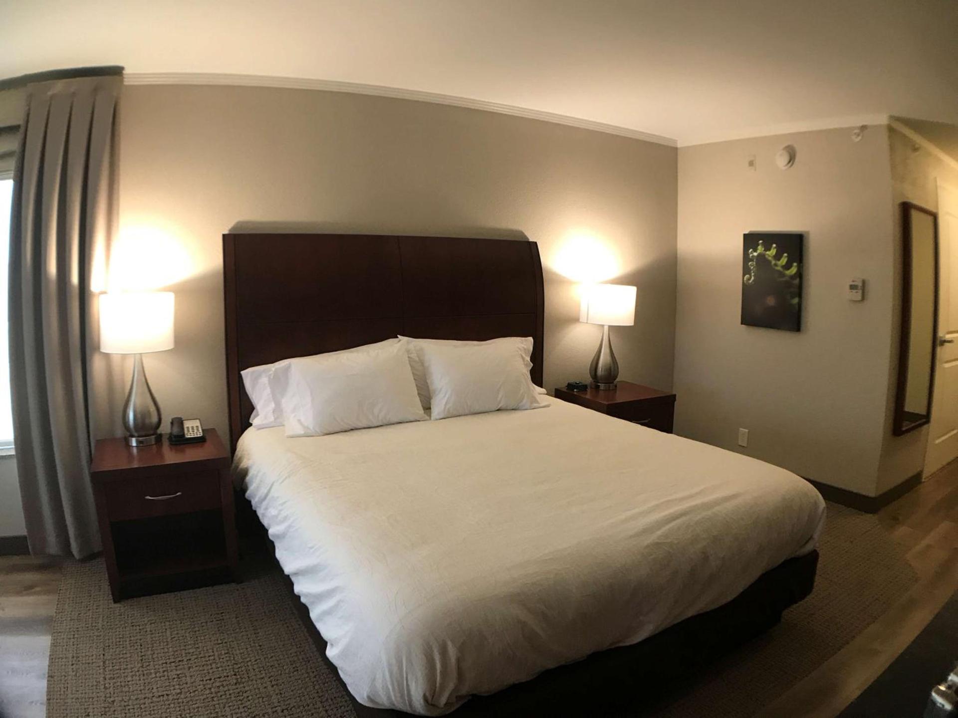 Hilton Garden Inn Bowling Green photo 79