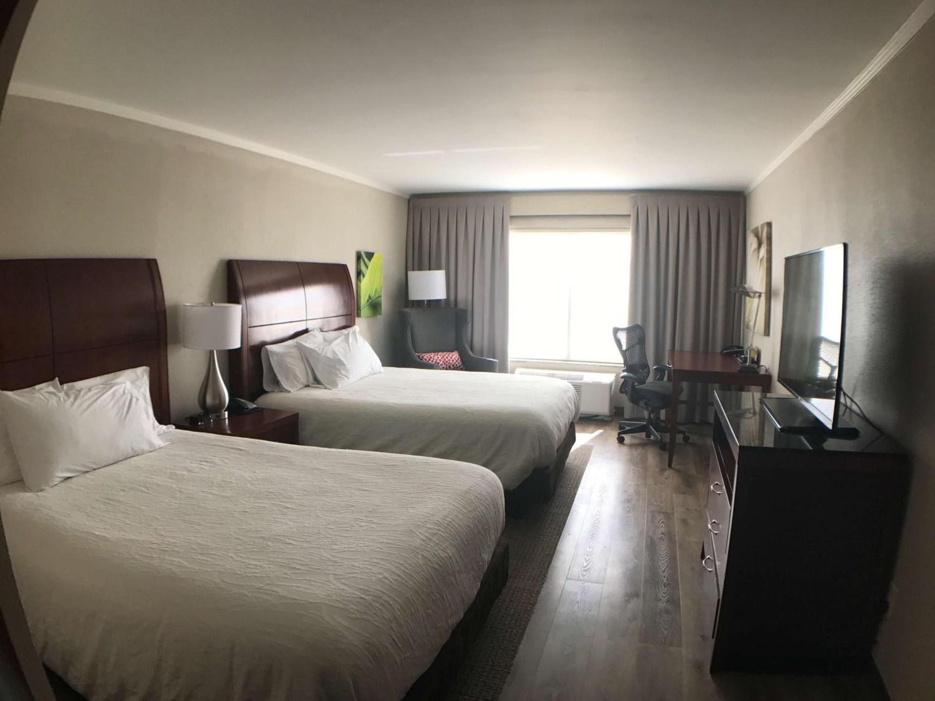 Hilton Garden Inn Bowling Green photo 78