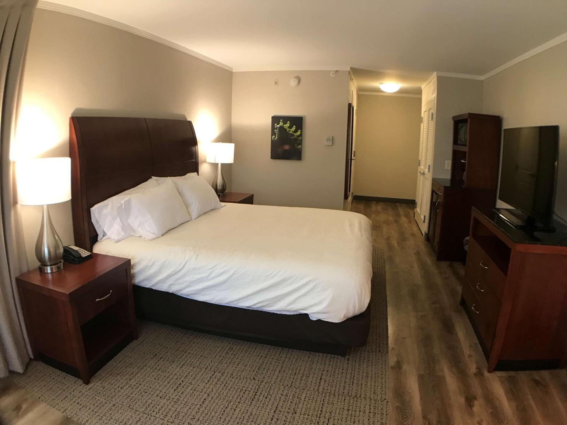 Hilton Garden Inn Bowling Green photo 86