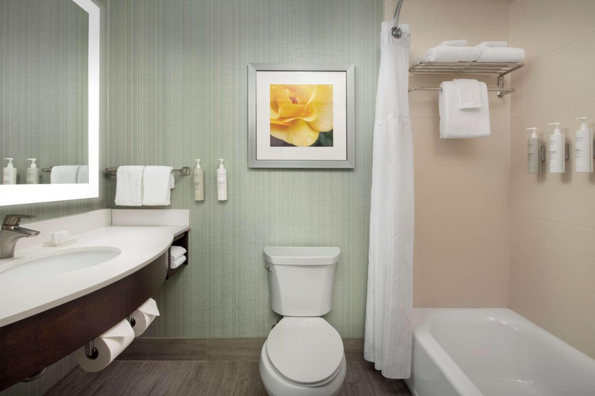 Hilton Garden Inn Murfreesboro photo 29