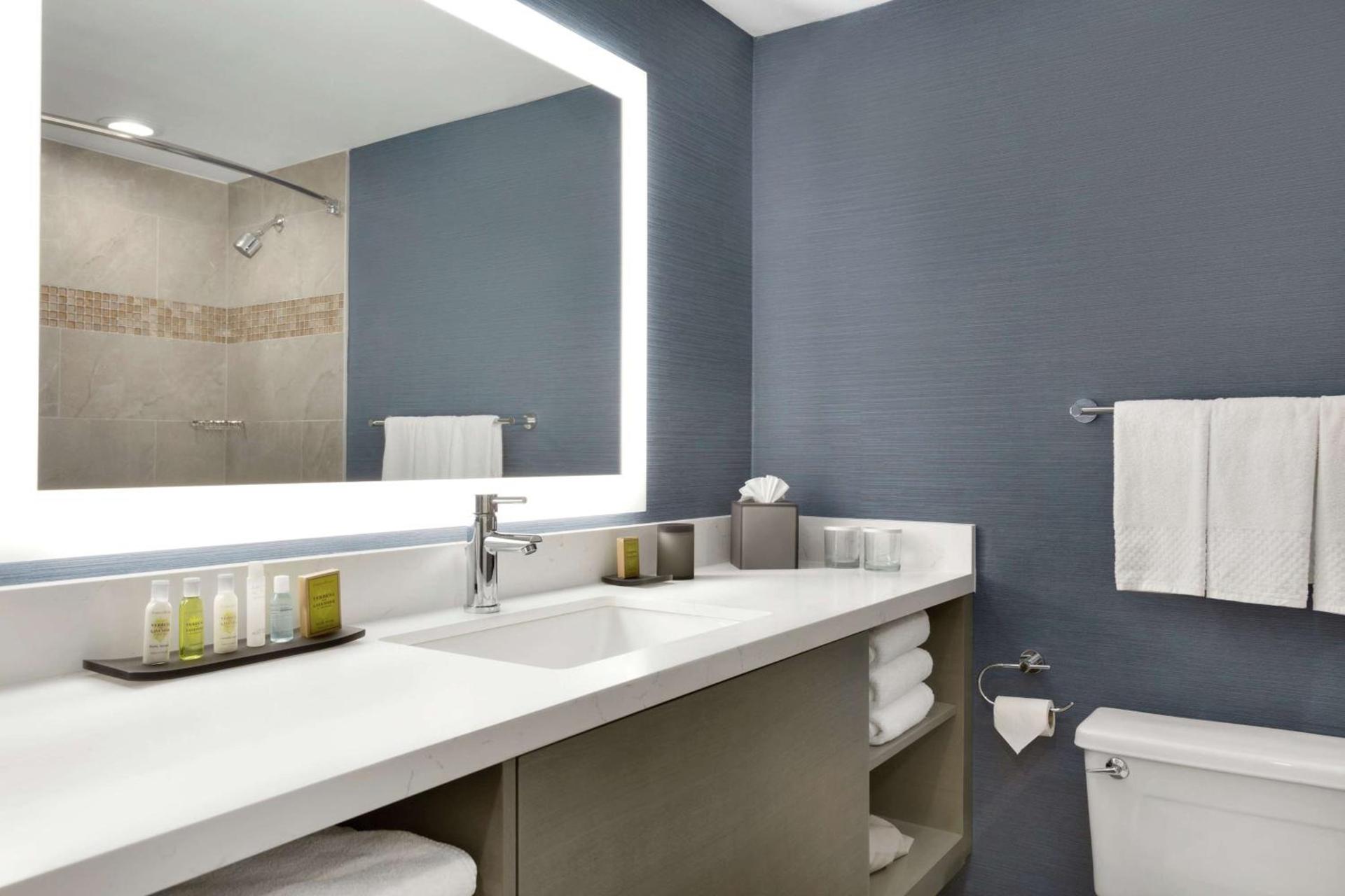 DoubleTree Suites by Hilton Hotel Boston - Cambridge photo 34