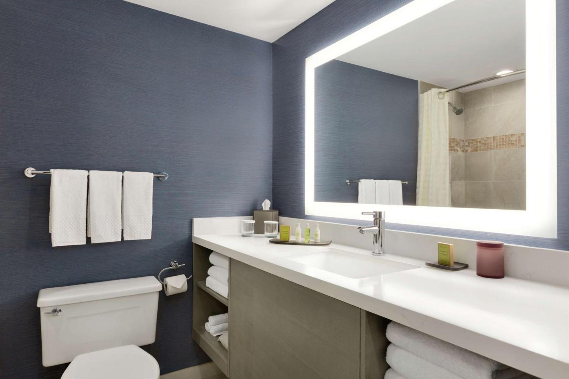 DoubleTree Suites by Hilton Hotel Boston - Cambridge photo 43