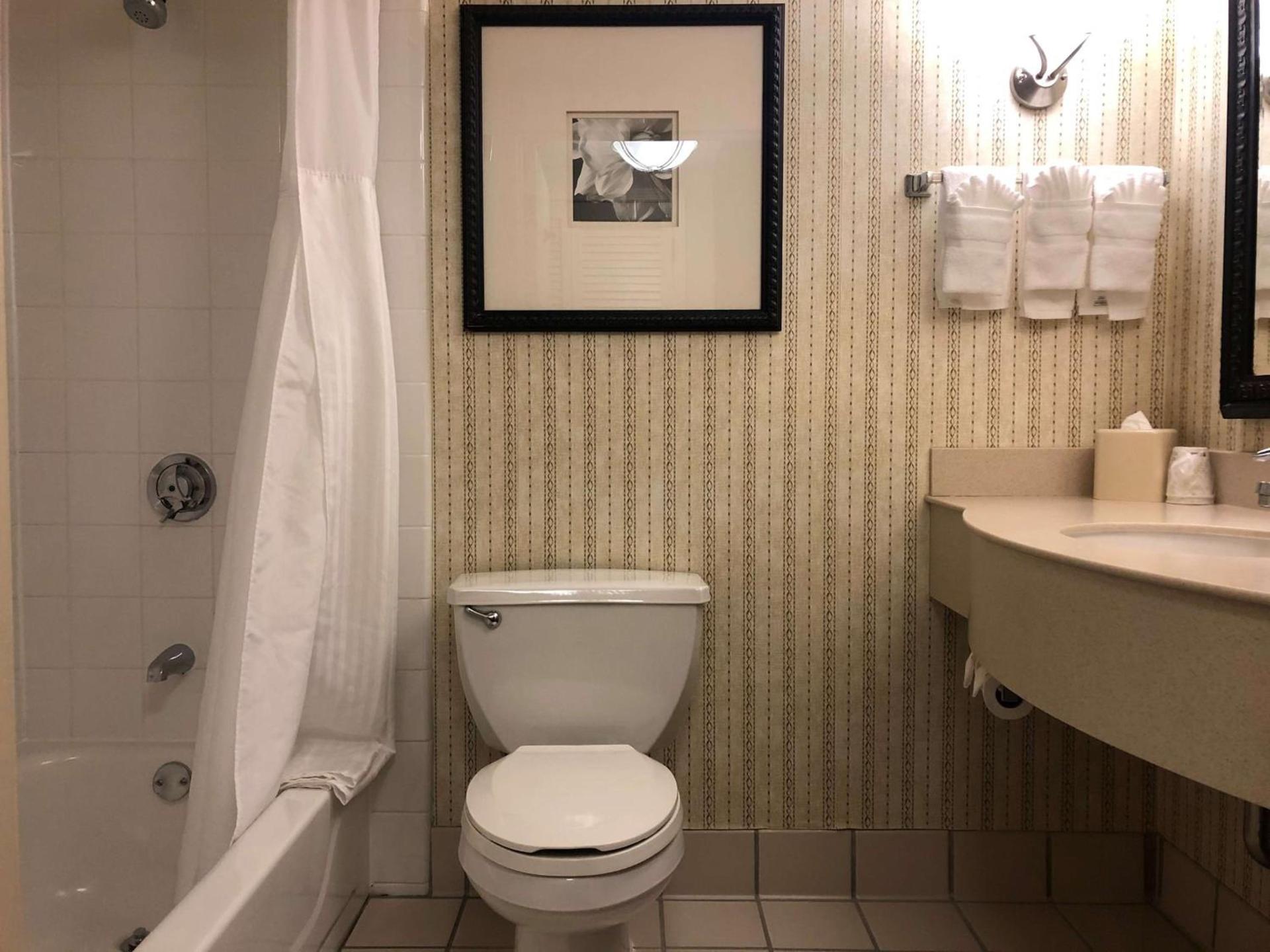 Hilton Garden Inn Addison photo 20