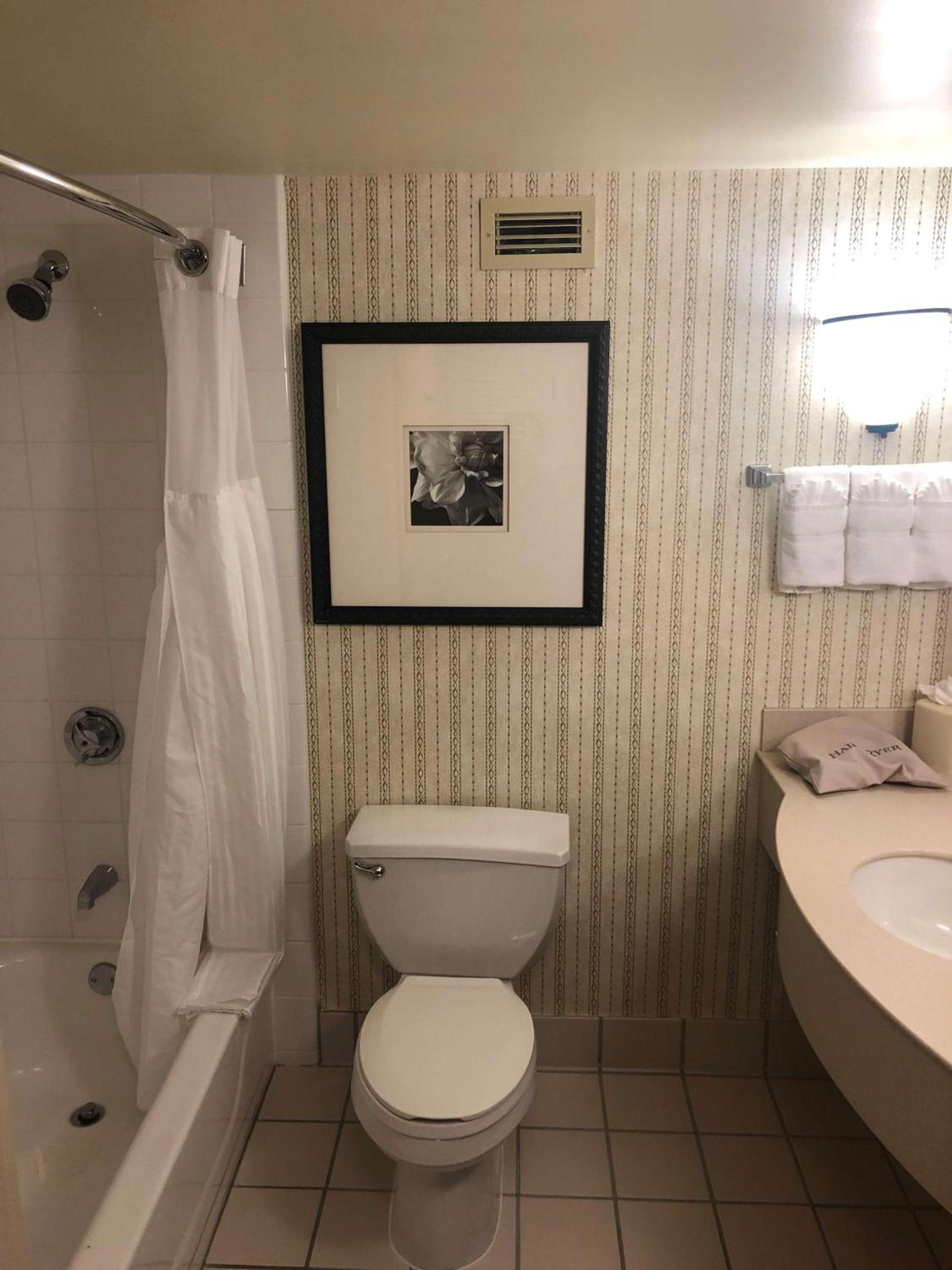 Hilton Garden Inn Addison photo 28