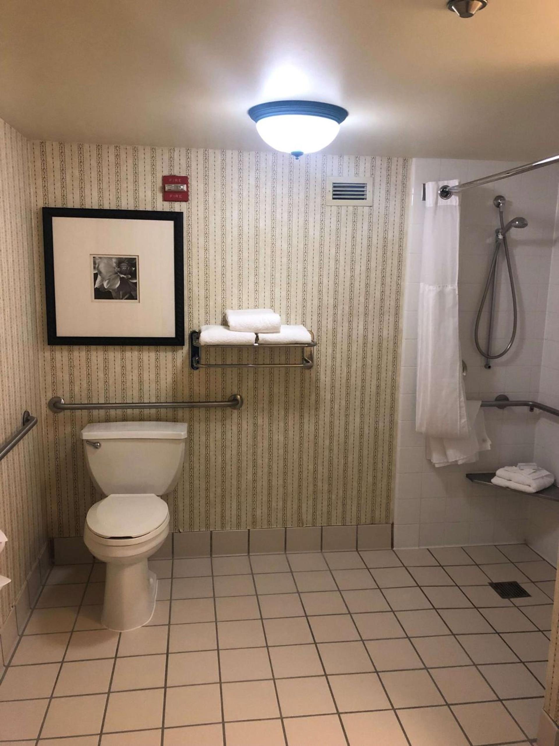 Hilton Garden Inn Addison photo 29