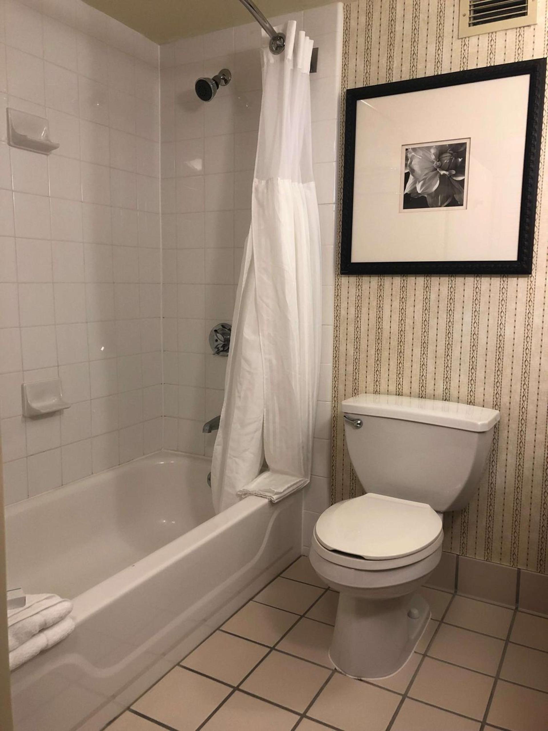 Hilton Garden Inn Addison photo 32