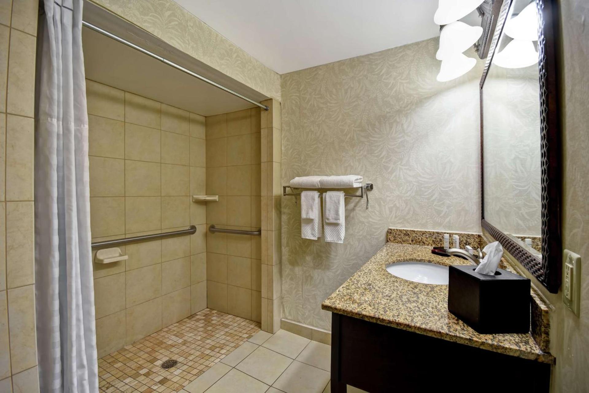 Embassy Suites Charleston - Historic District photo 21