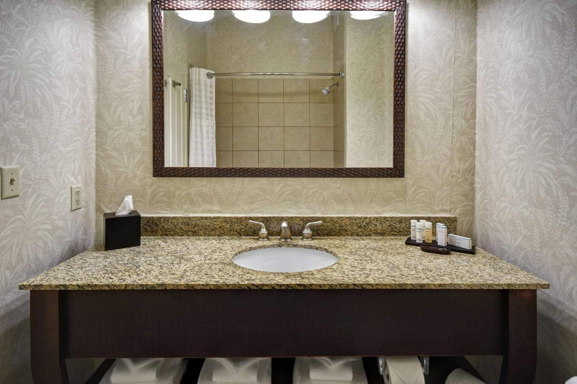 Embassy Suites Charleston - Historic District photo 27