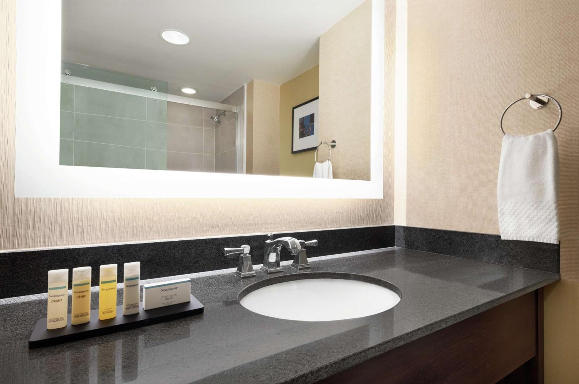 Embassy Suites by Hilton Cleveland Rockside photo 15