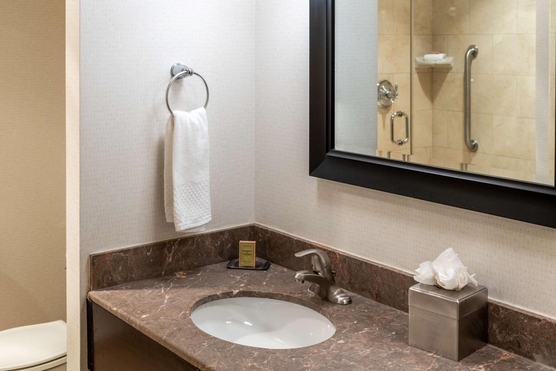 The Capital Suites Hotel photo 22