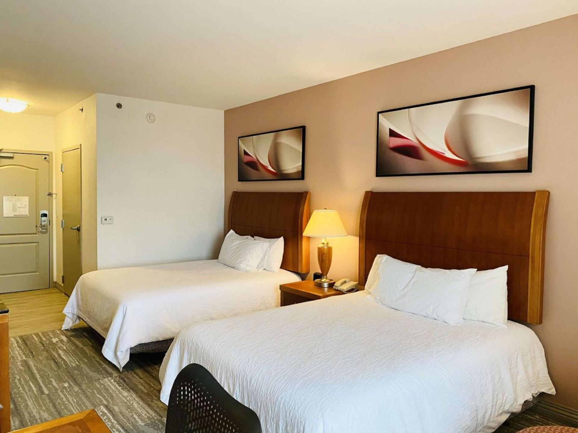 Hilton Garden Inn Columbia photo 35