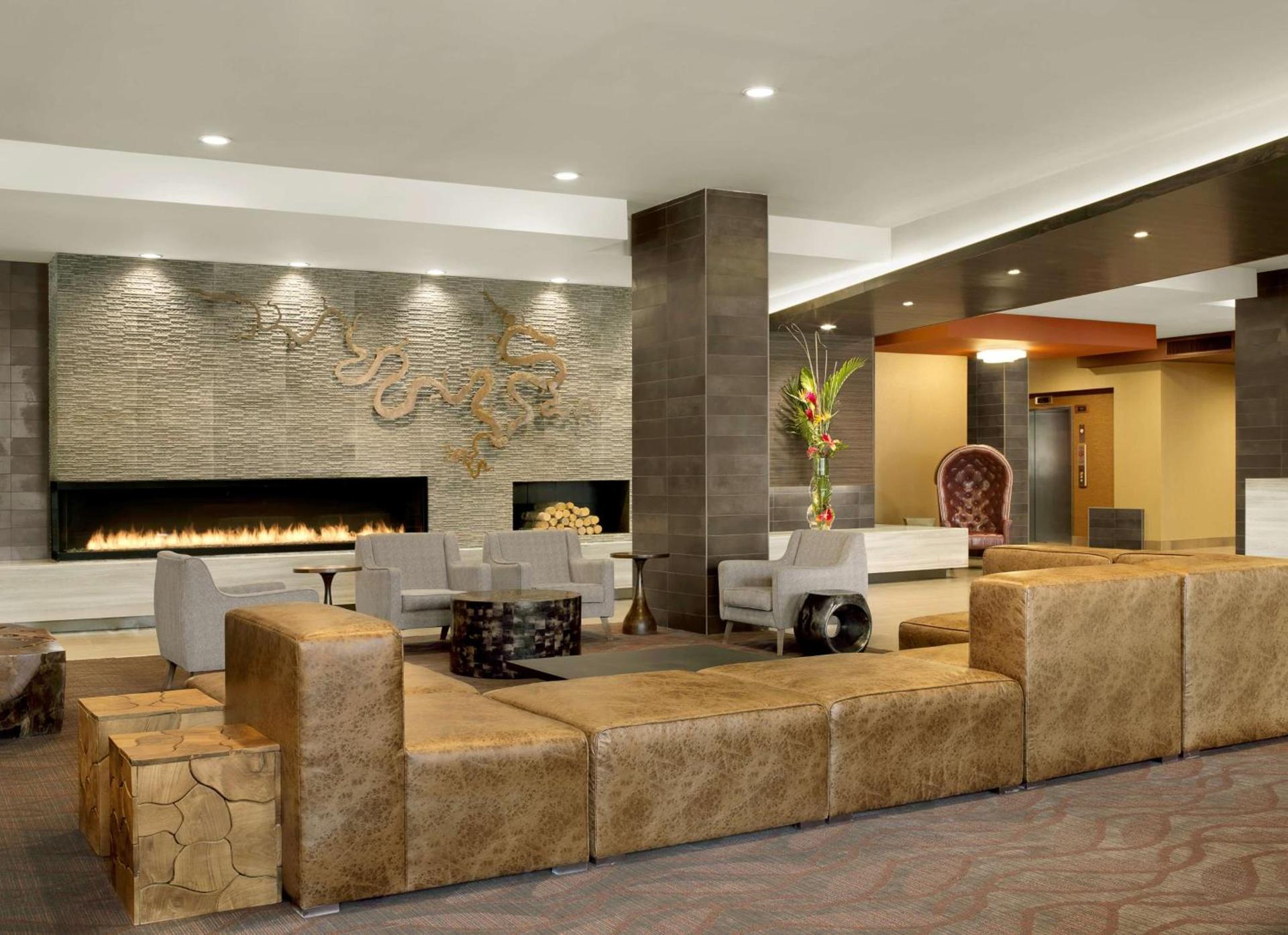 The Broadway Columbia - a DoubleTree by Hilton Hotel photo 5