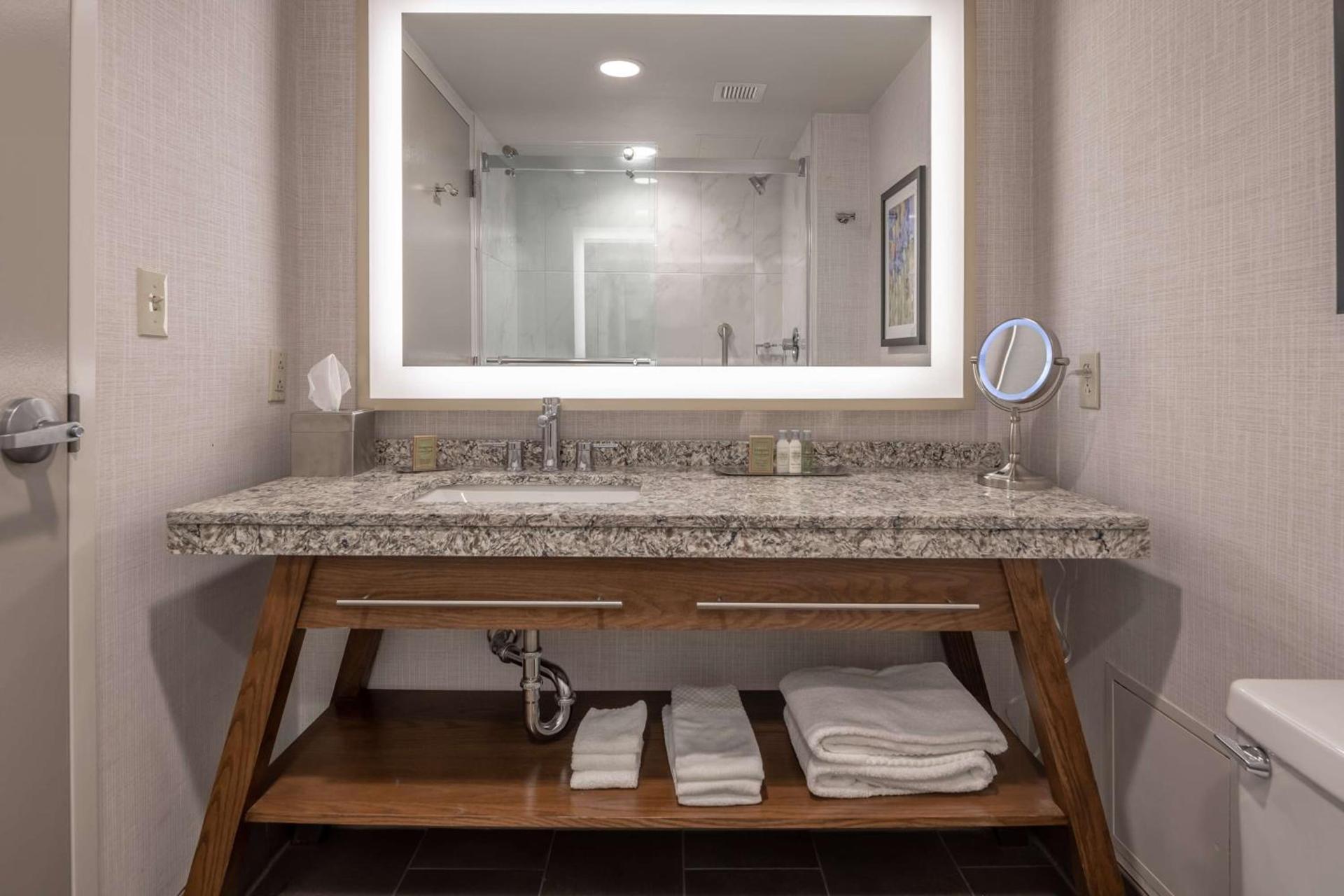 DoubleTree by Hilton Dallas-Farmers Branch photo 25