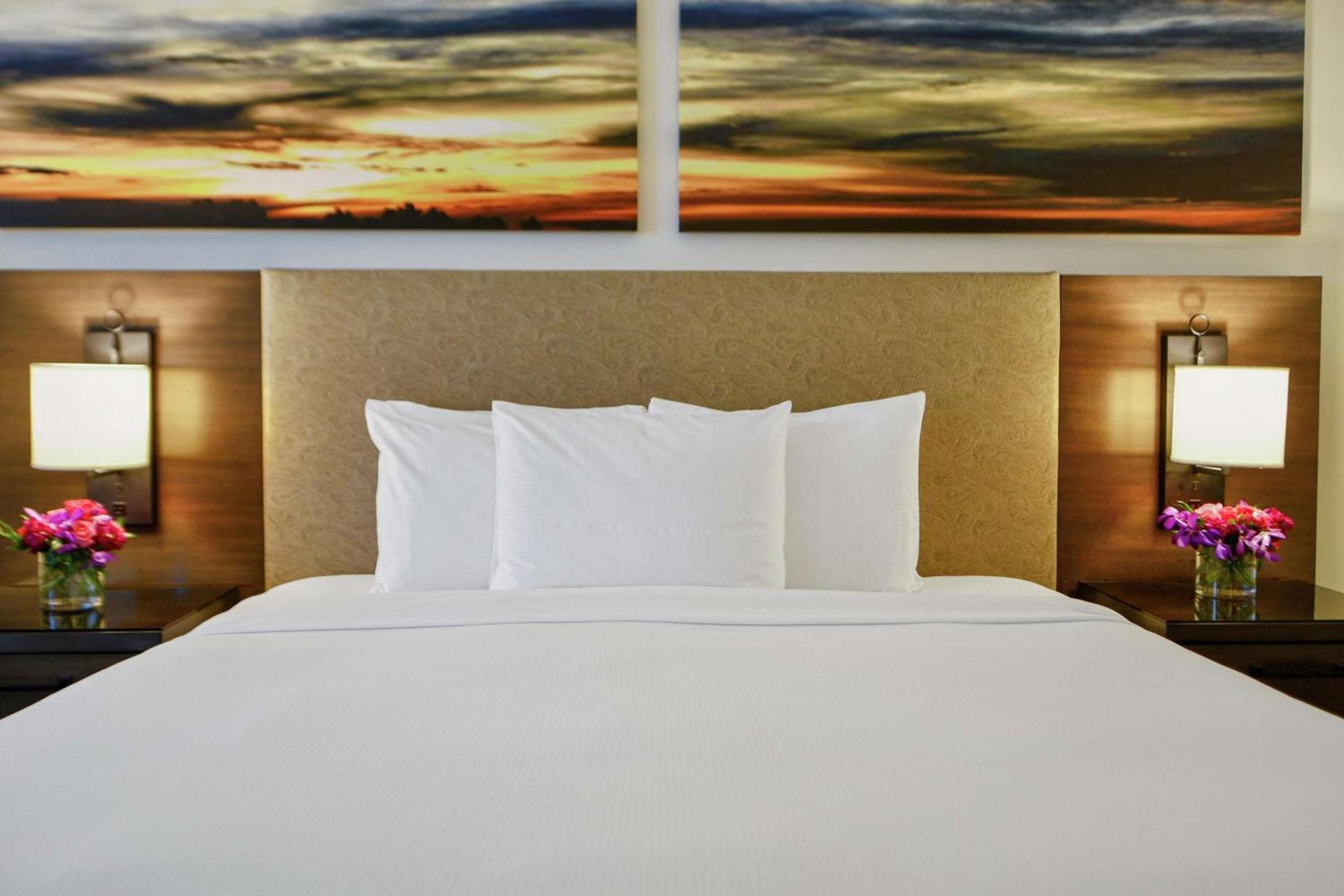 Hilton Dallas-Park Cities photo 25