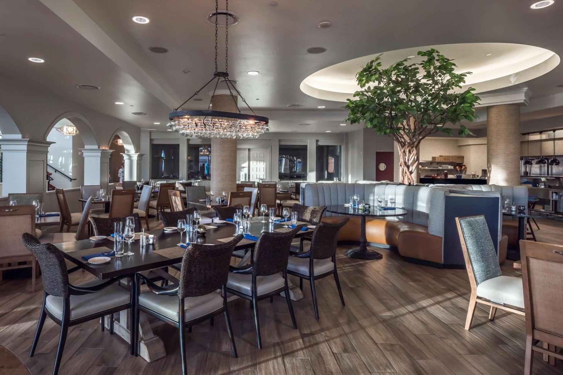 Hilton Dallas/Rockwall Lakefront Hotel photo 22