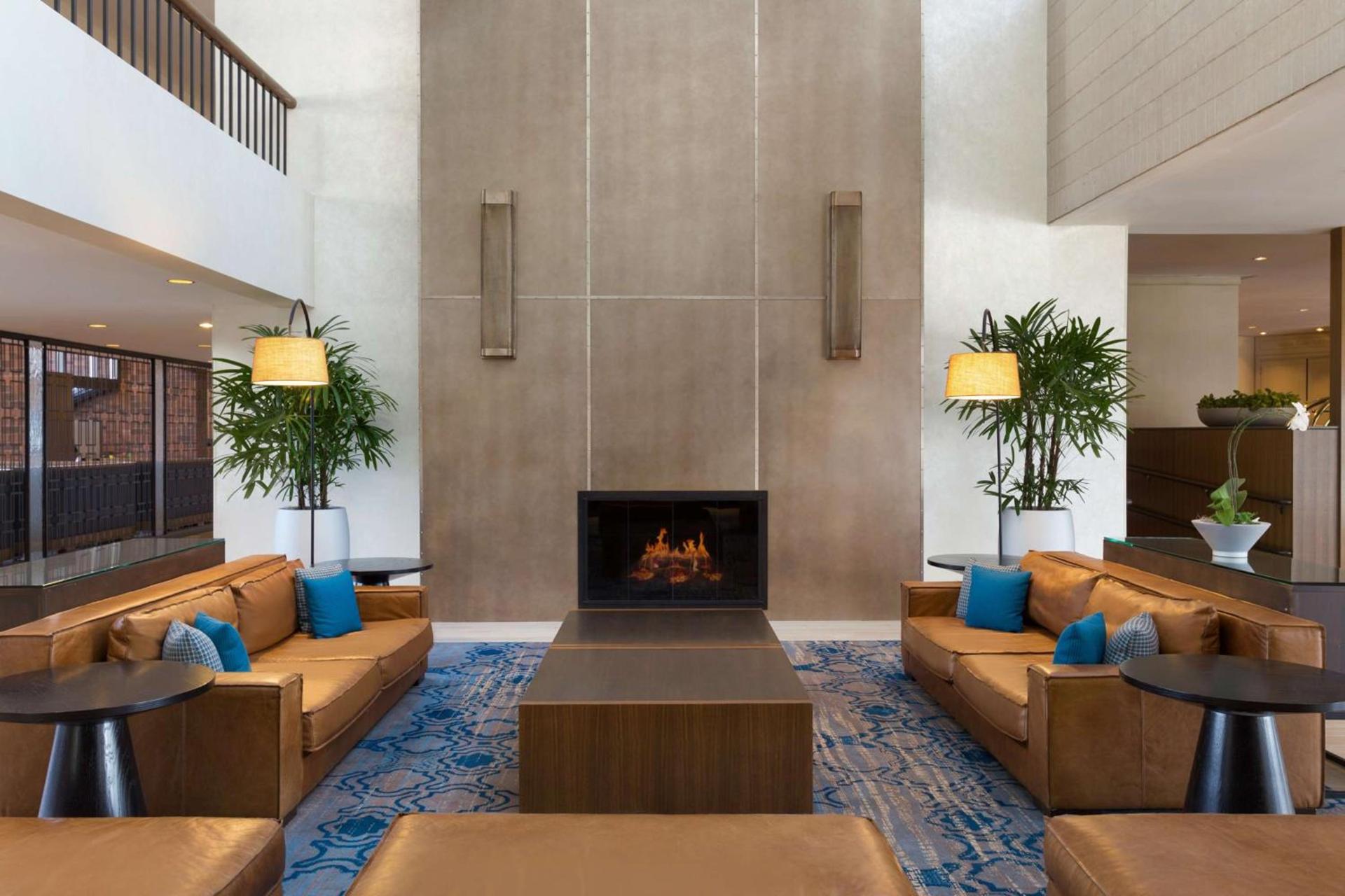 Hilton Boston Dedham photo 4