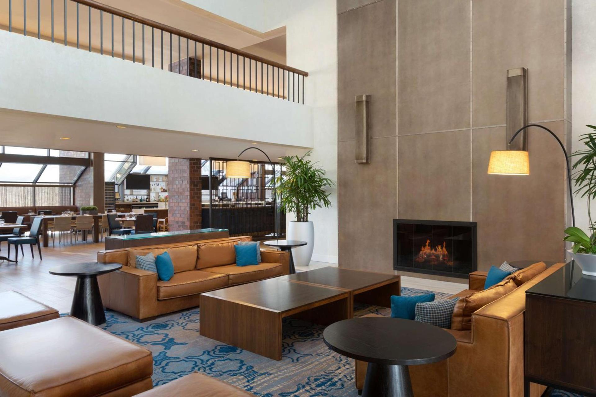 Hilton Boston Dedham photo 5