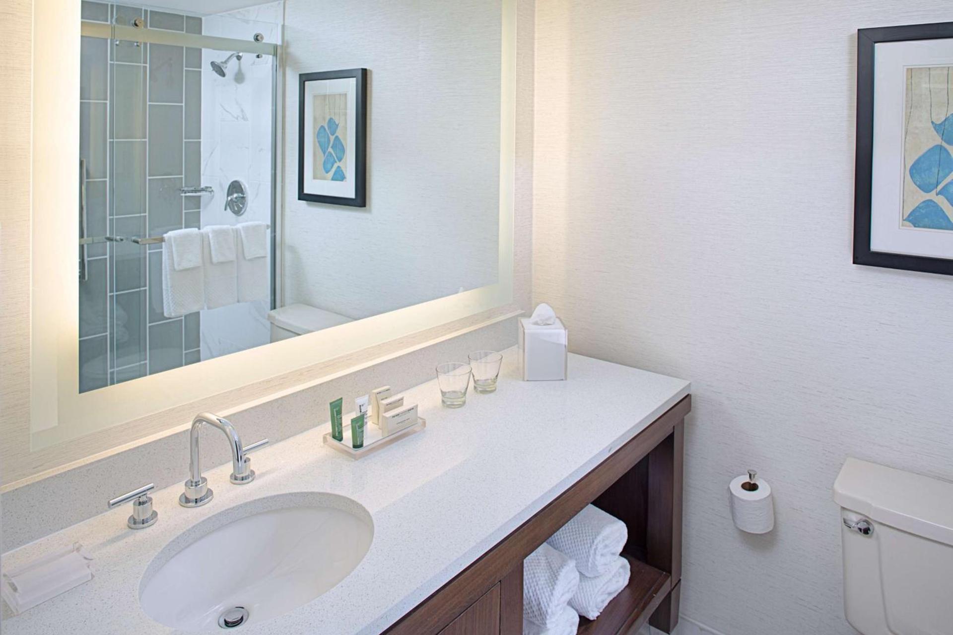 Hilton Boston Dedham photo 21