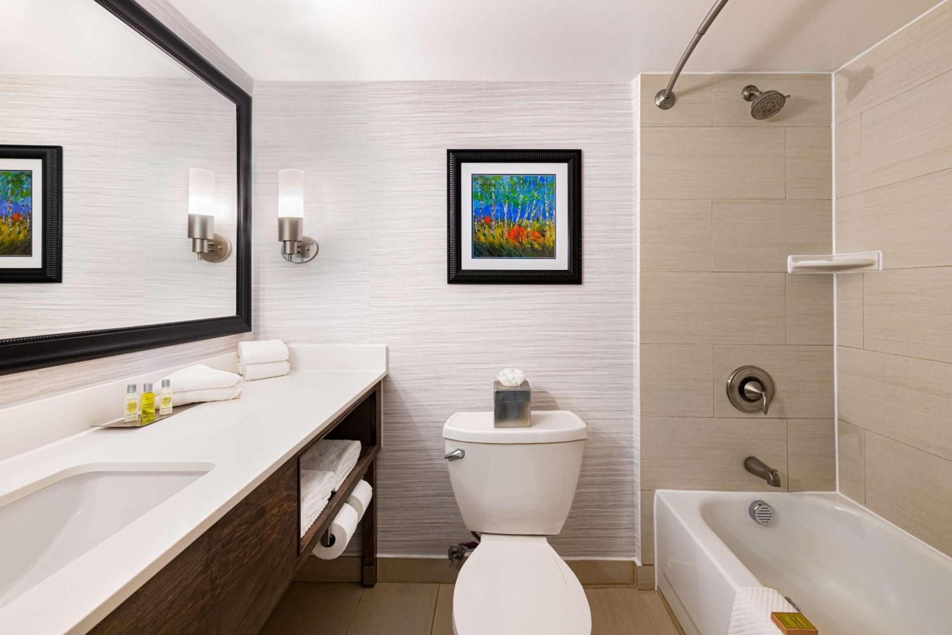 DoubleTree by Hilton Hotel Denver - Thornton photo 31