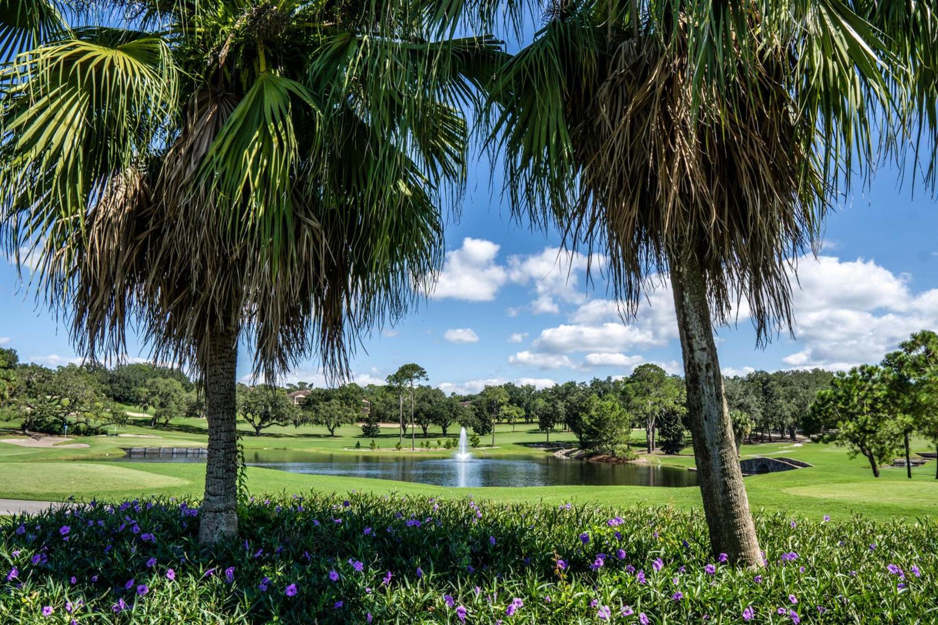 Mission Resort and Club photo 22