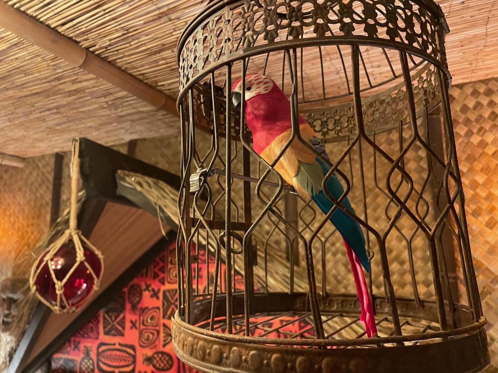 The Kondo Tiki photo 8