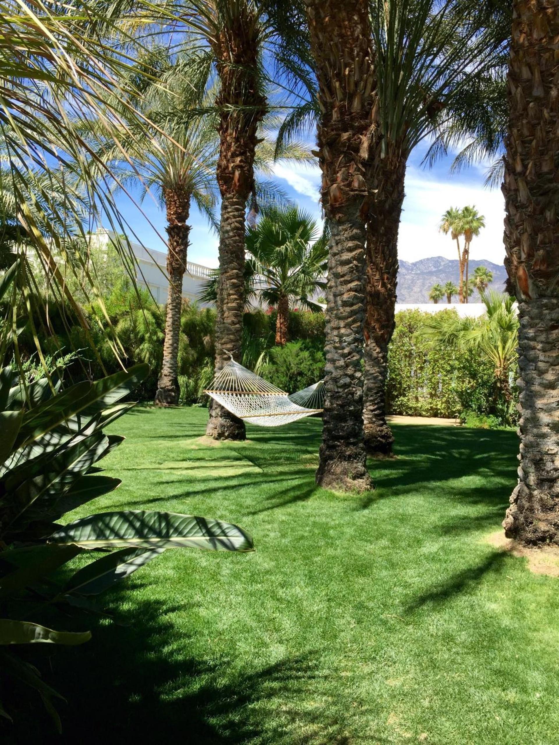 Parker Palm Springs photo 16