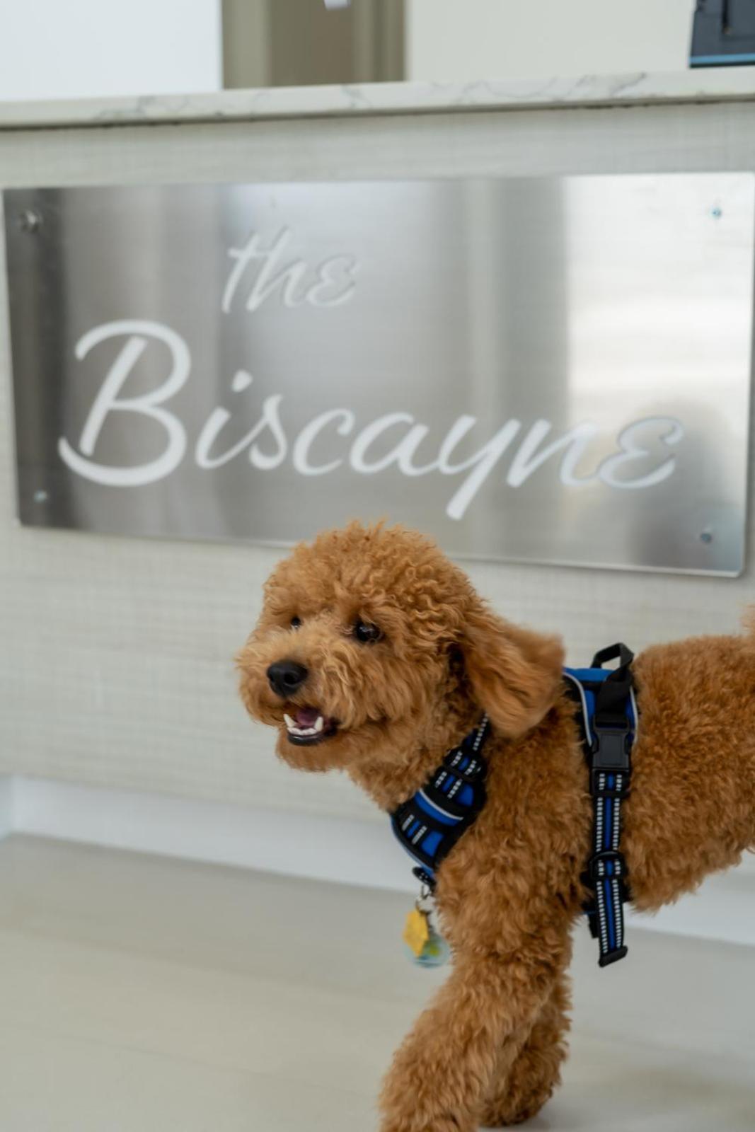 The Biscayne Hotel photo 33