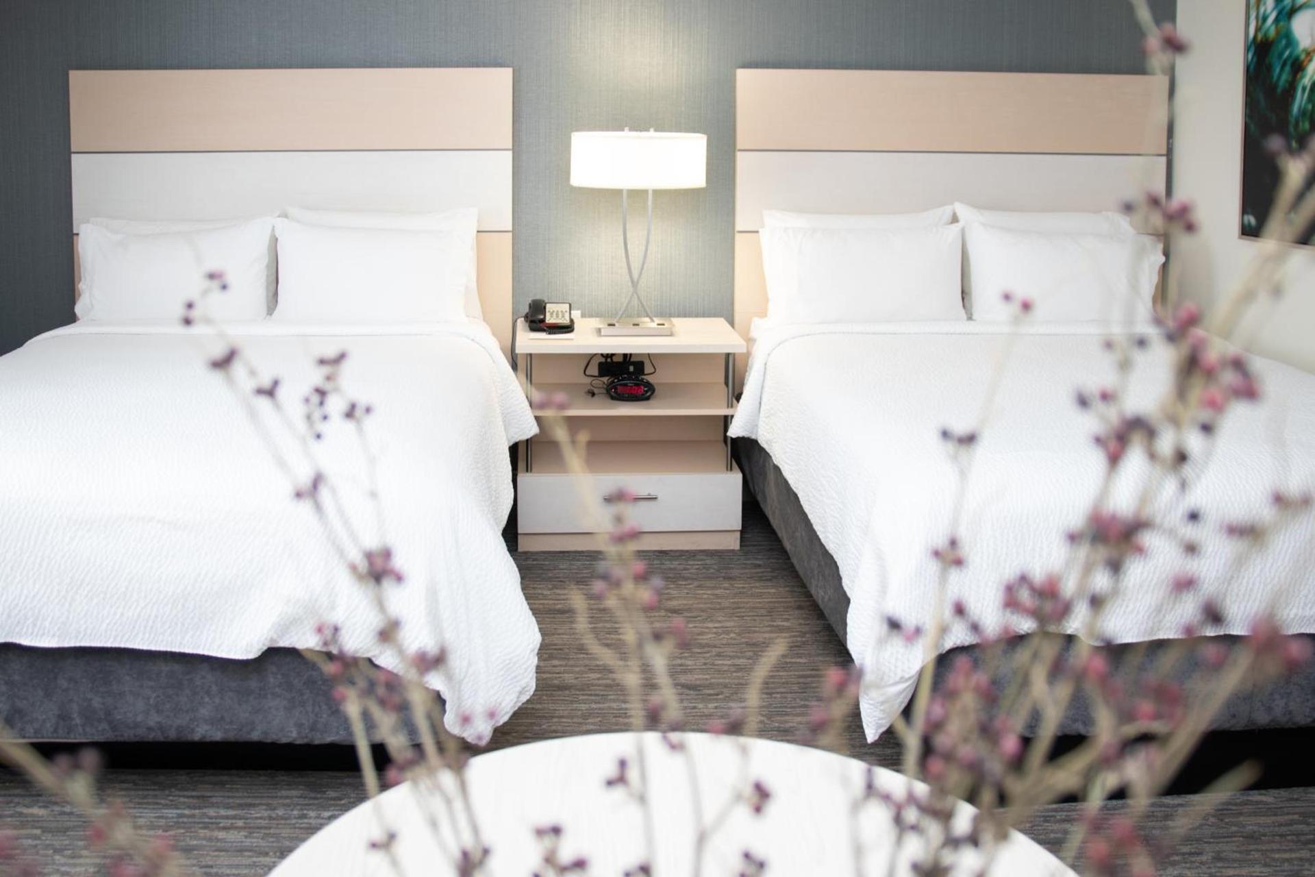 Candlewood Suites Miami Intl Airport - 36th St by IHG photo 30