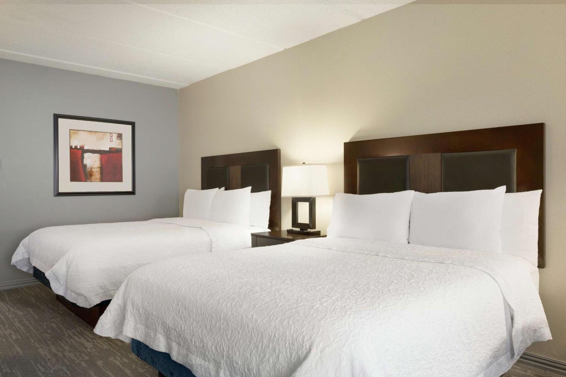 Hampton Inn and Suites Houston Clear Lake NASA photo 12