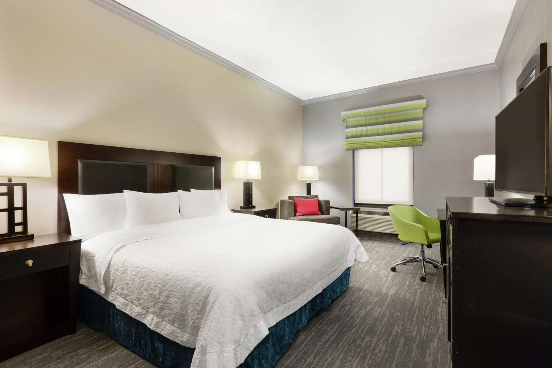 Hampton Inn and Suites Houston Clear Lake NASA photo 17
