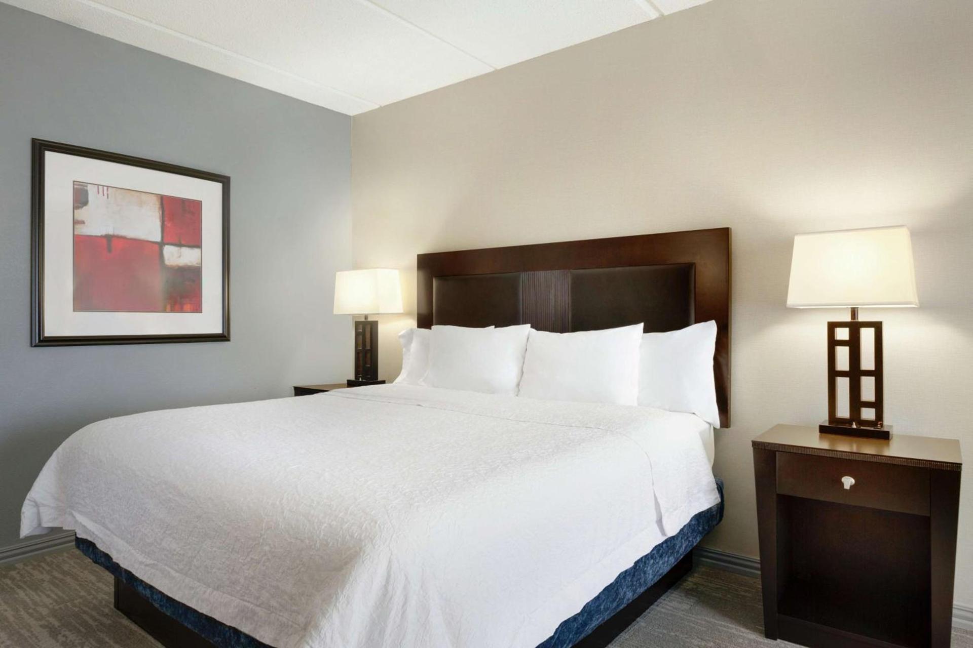 Hampton Inn and Suites Houston Clear Lake NASA photo 16