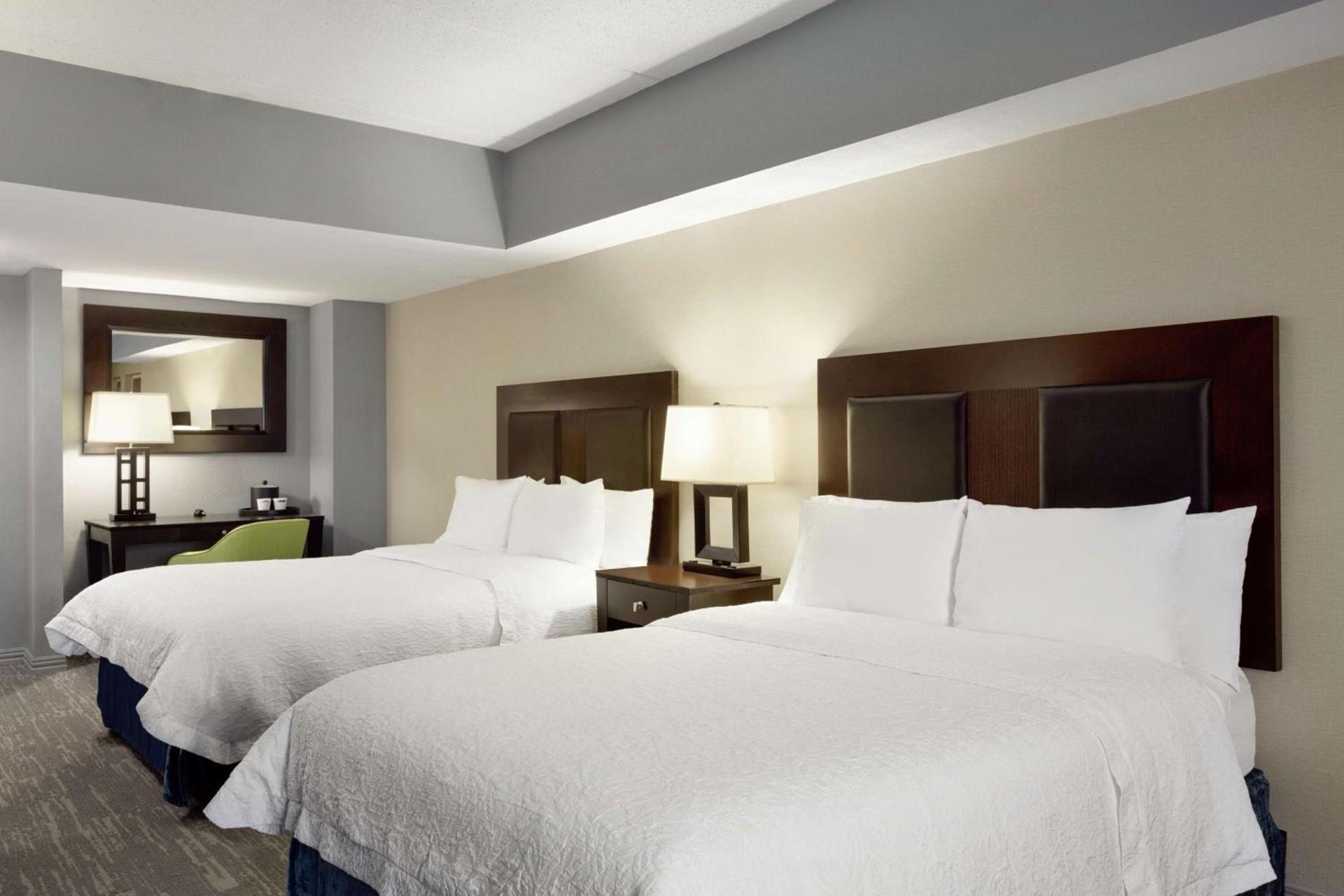 Hampton Inn and Suites Houston Clear Lake NASA photo 28