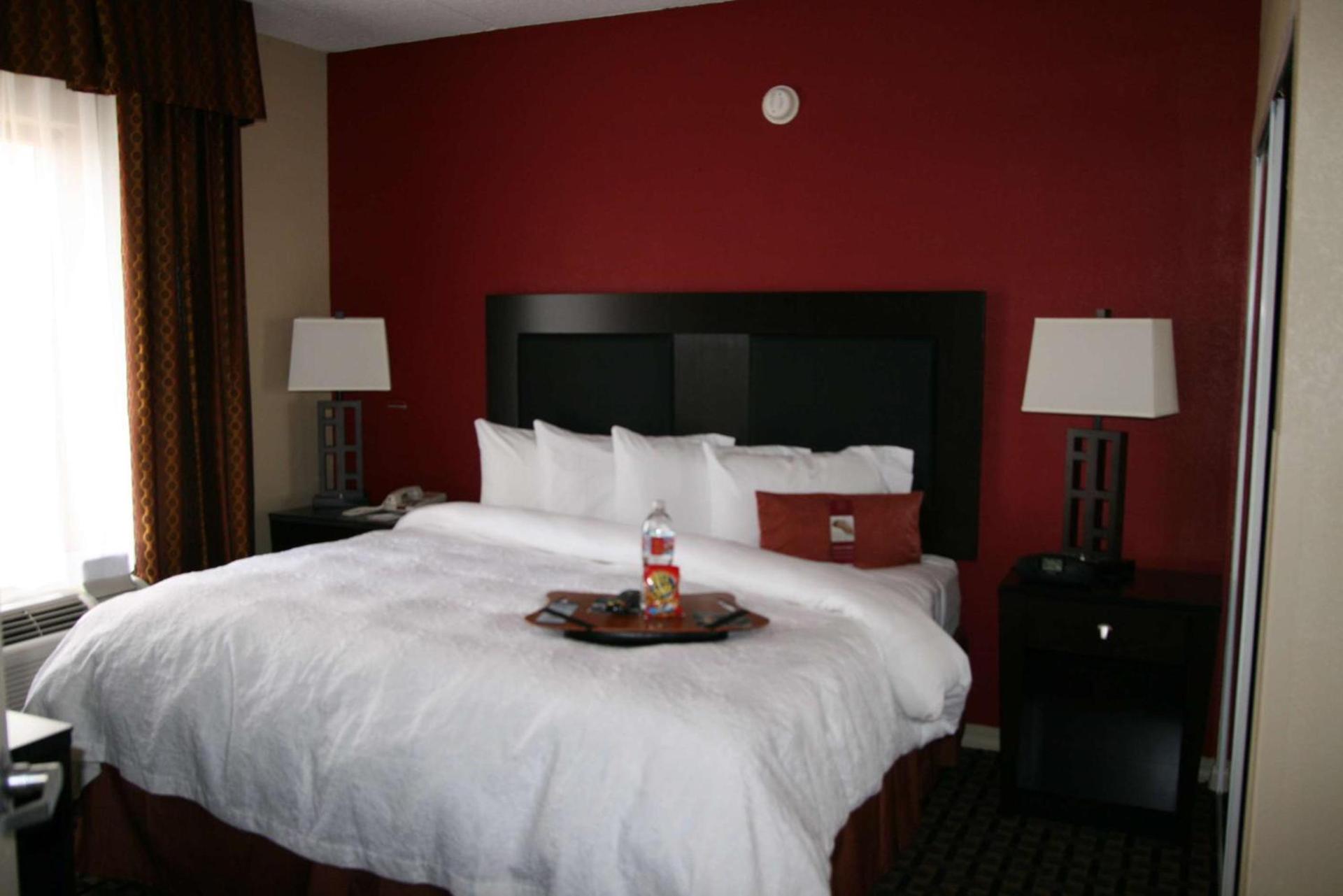 Hampton Inn and Suites Houston Clear Lake NASA photo 31