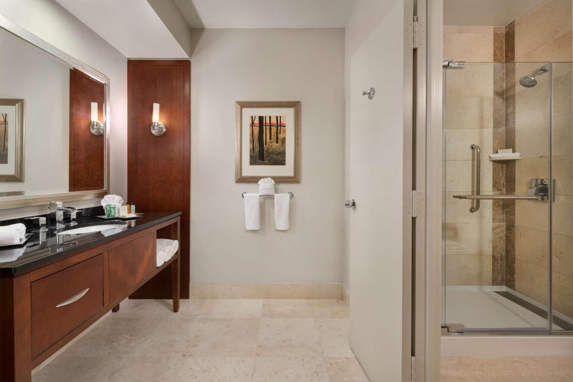 Hilton Houston Post Oak by the Galleria photo 24