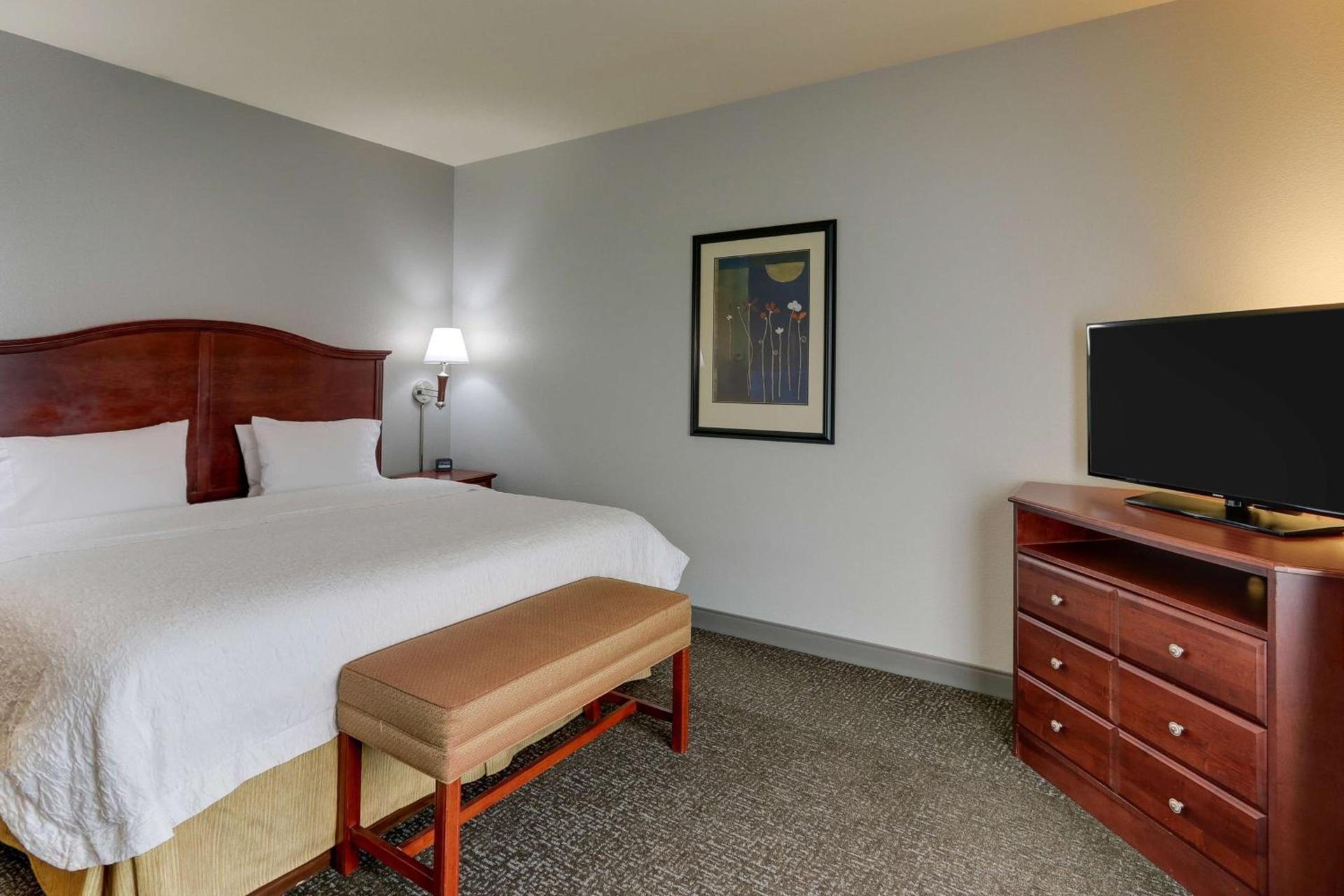 Hampton Inn & Suites Indianapolis-Airport photo 47