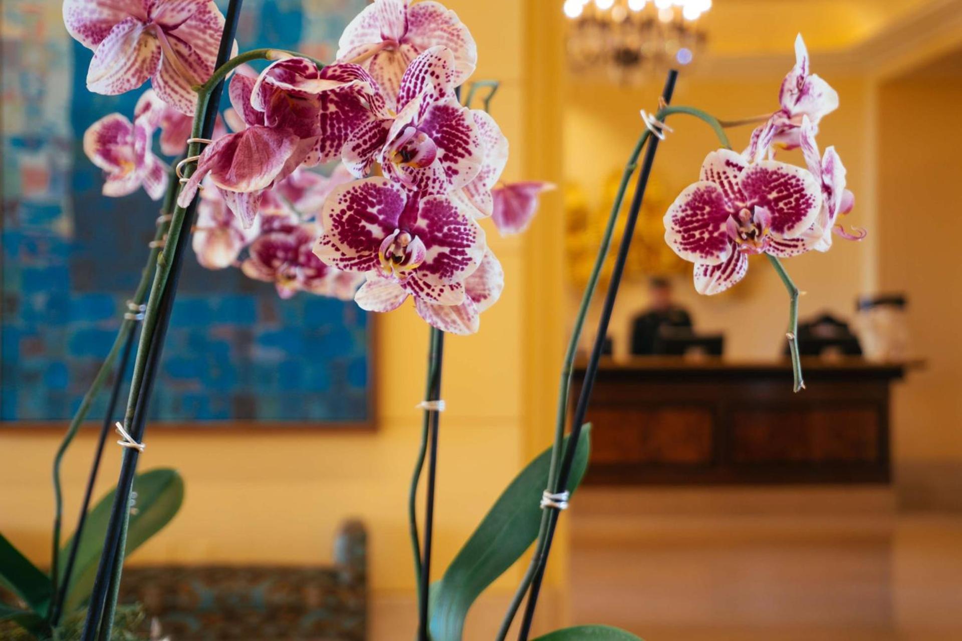 Hilton Lake Las Vegas Resort & Spa photo 16