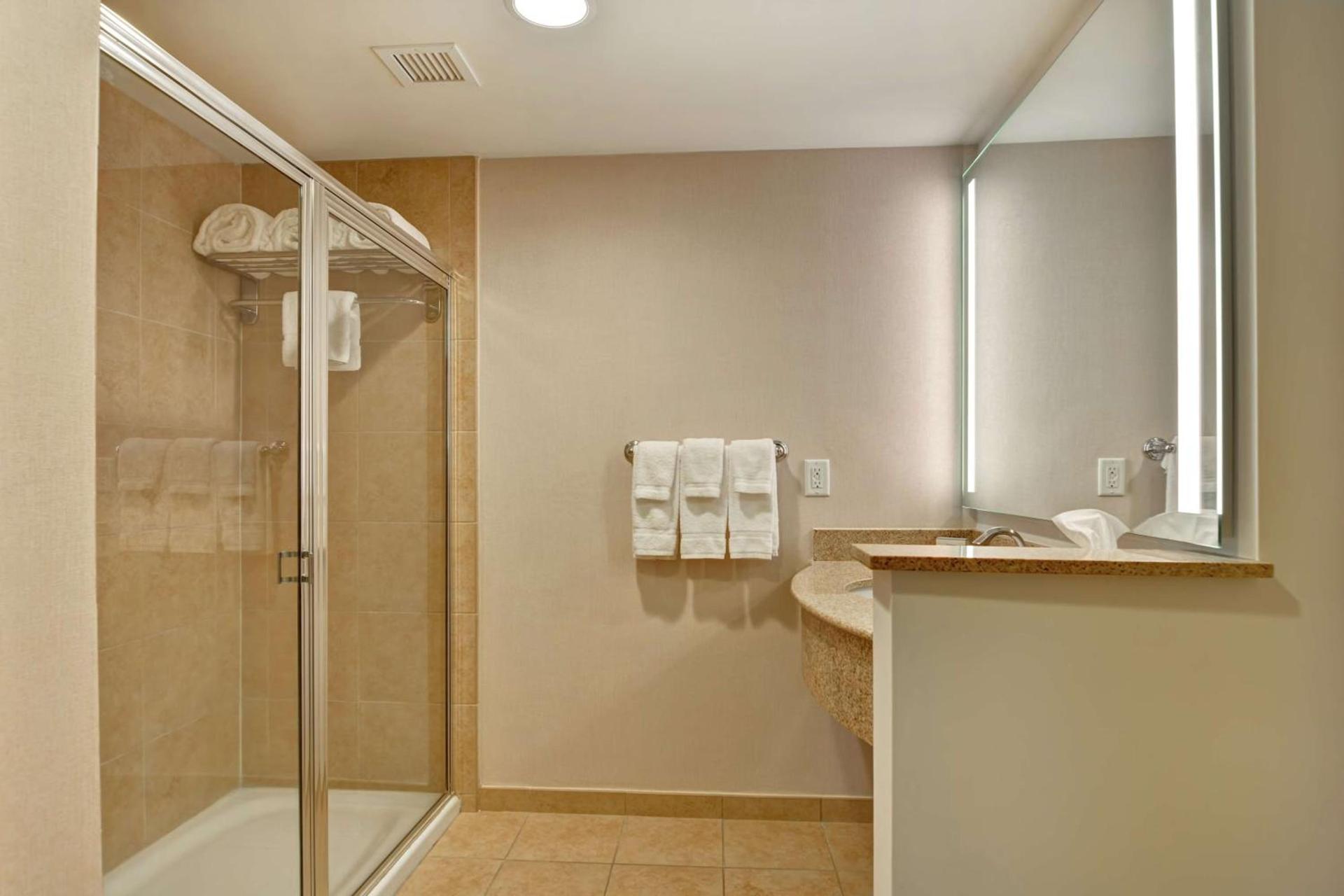 Hilton Garden Inn Orlando Lake Buena Vista photo 27